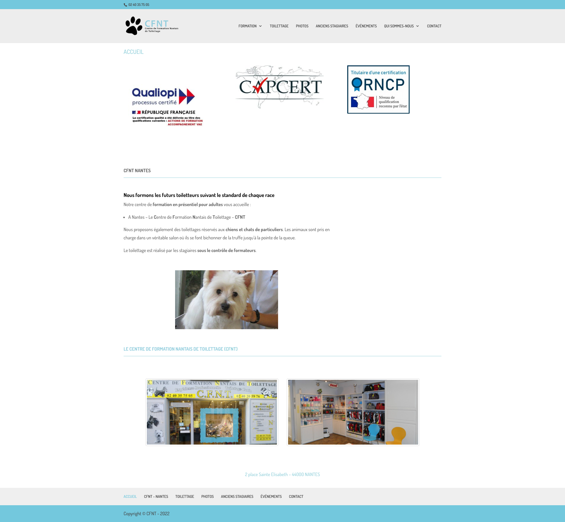 Aperçu du site