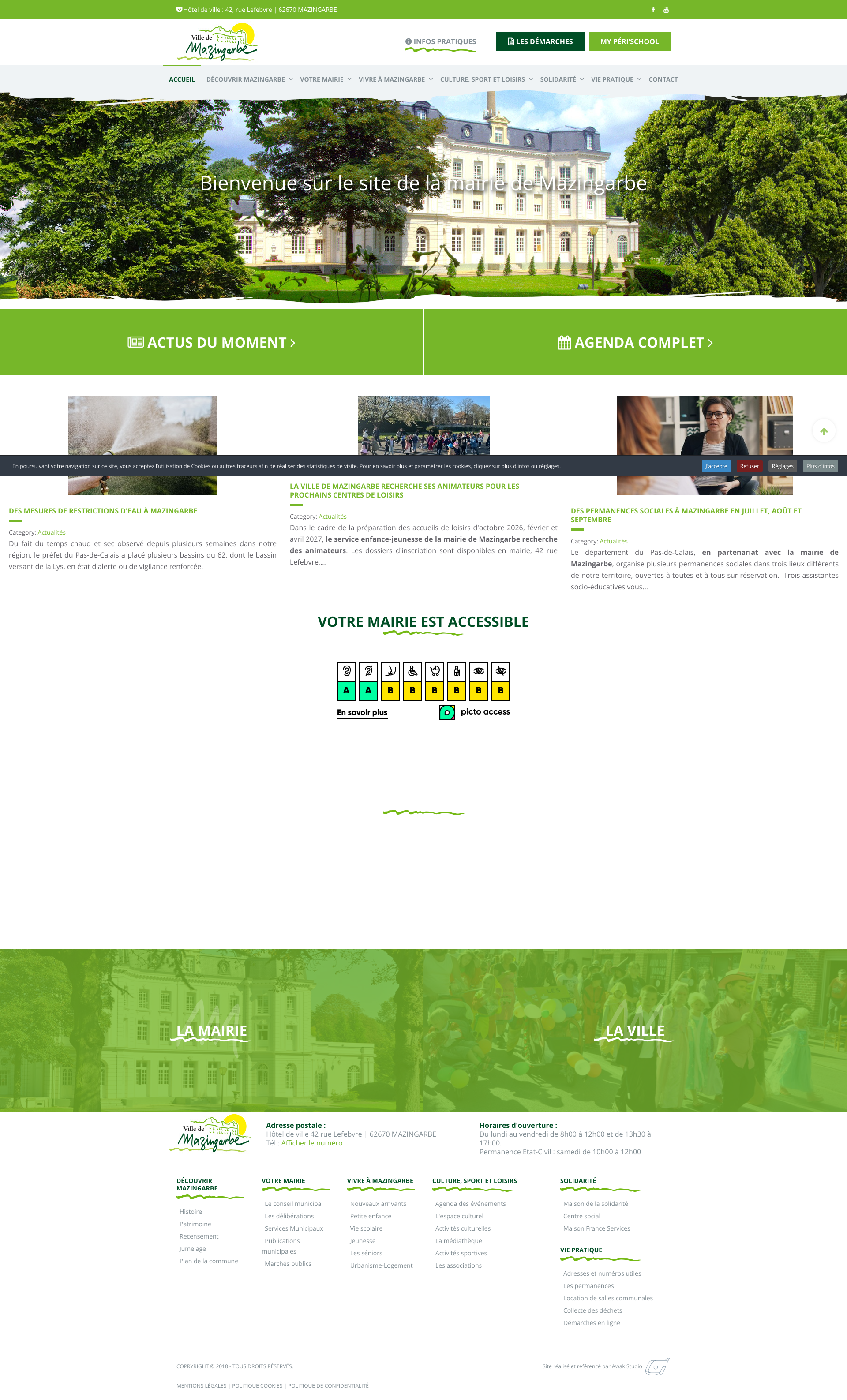 Aperçu du site