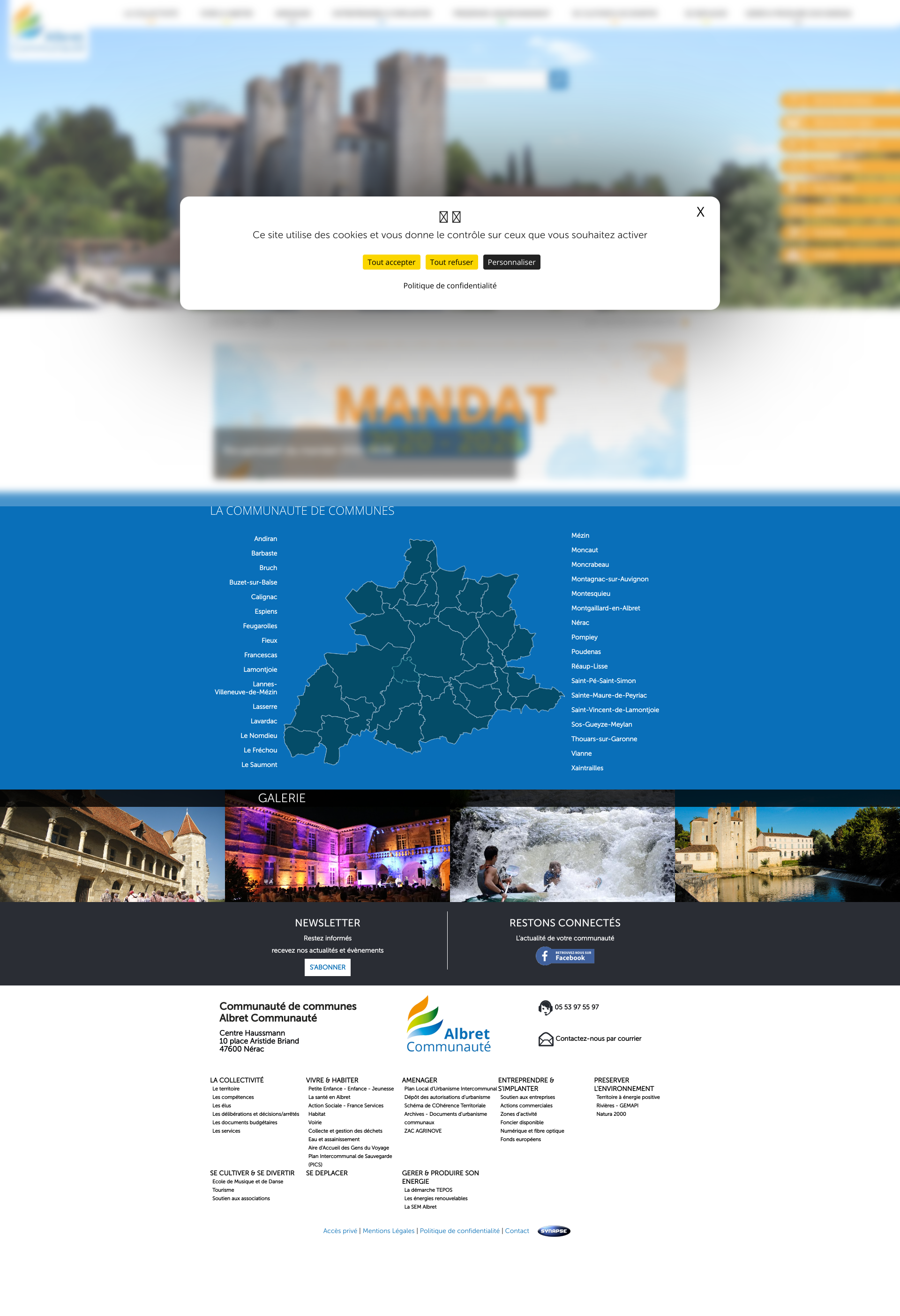 Aperçu du site