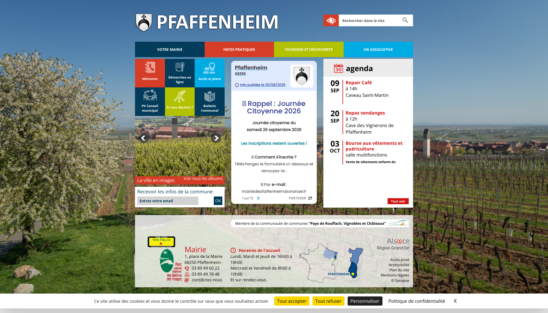 Aperçu du site