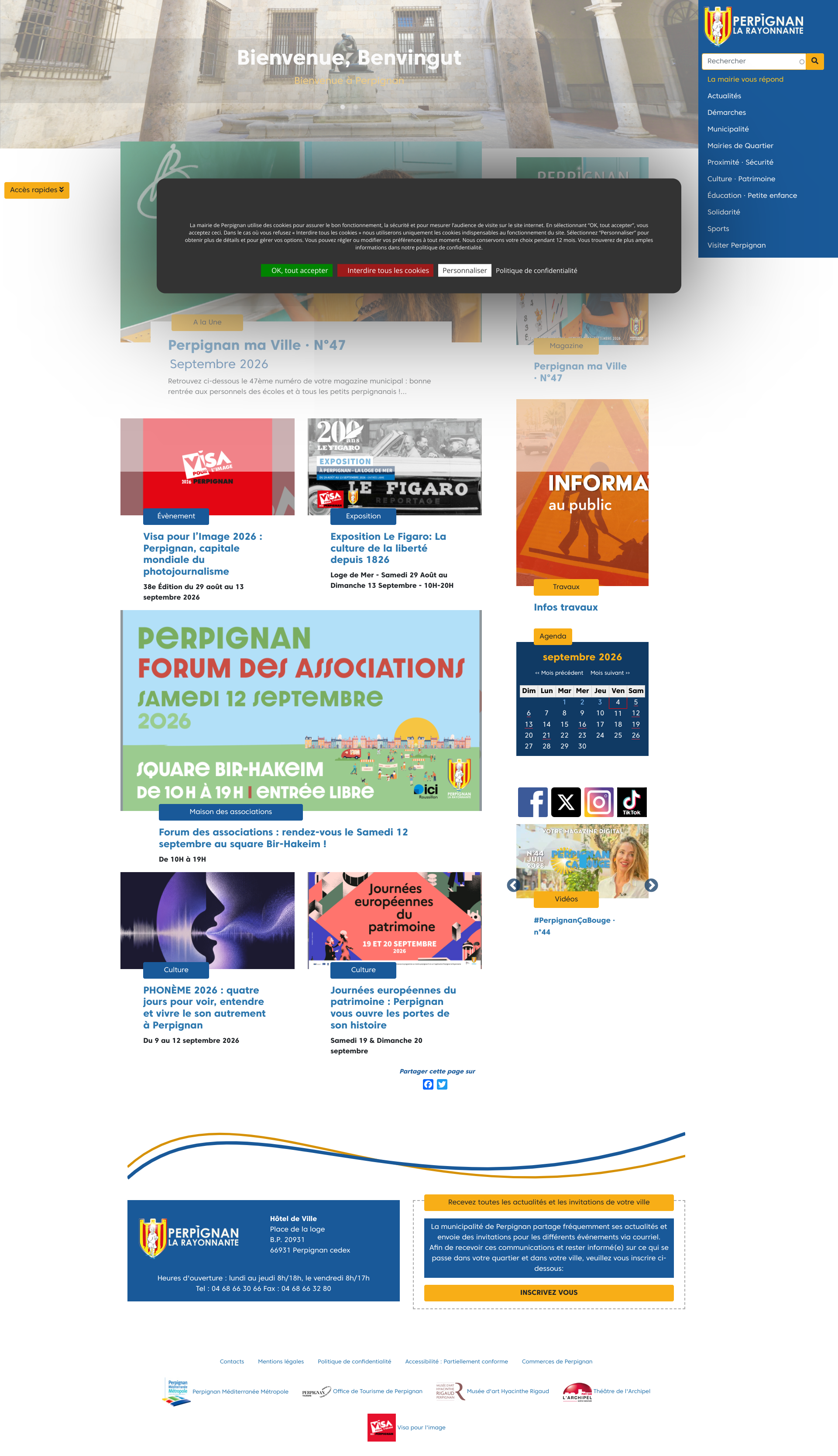 Aperçu du site