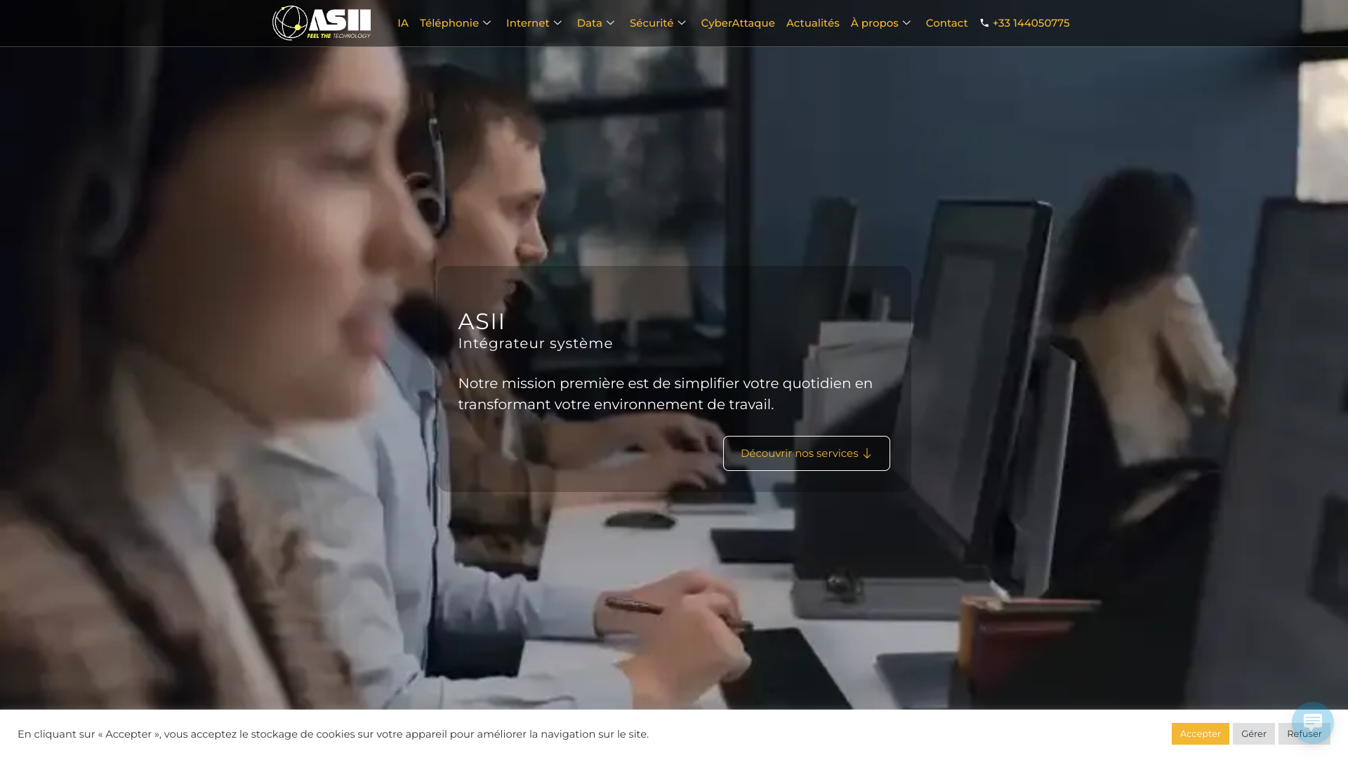 Aperçu du site