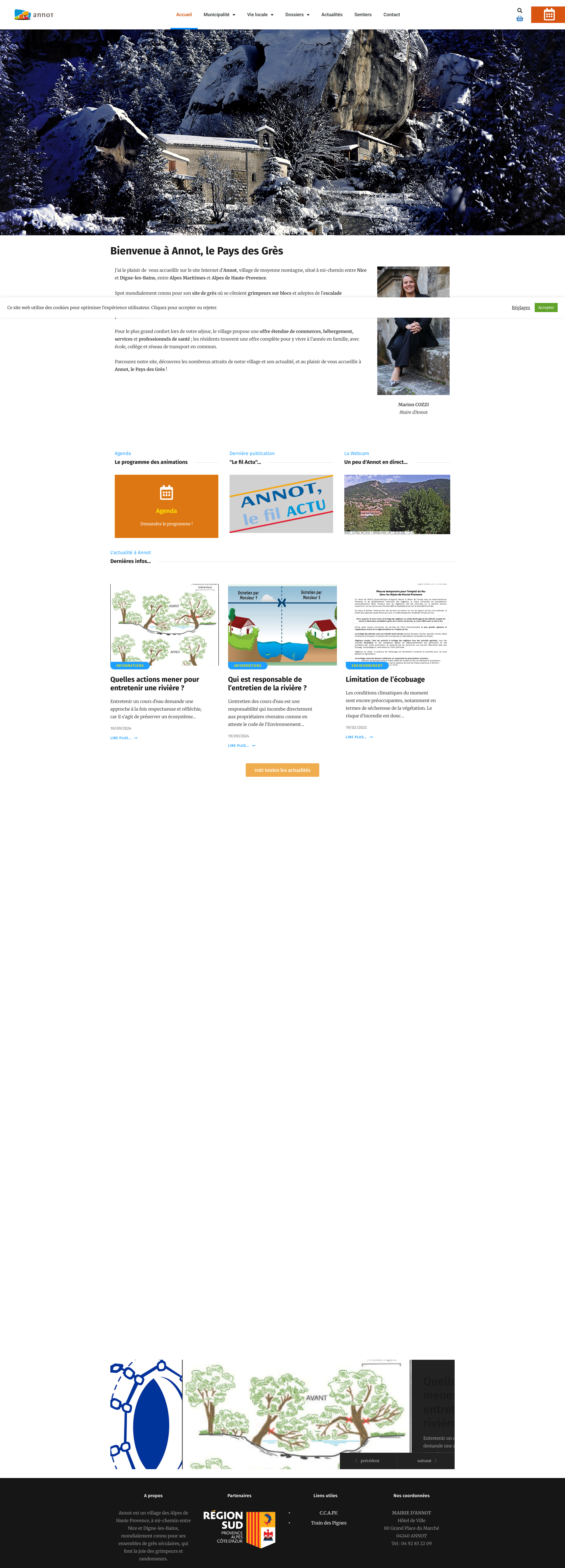 Aperçu du site
