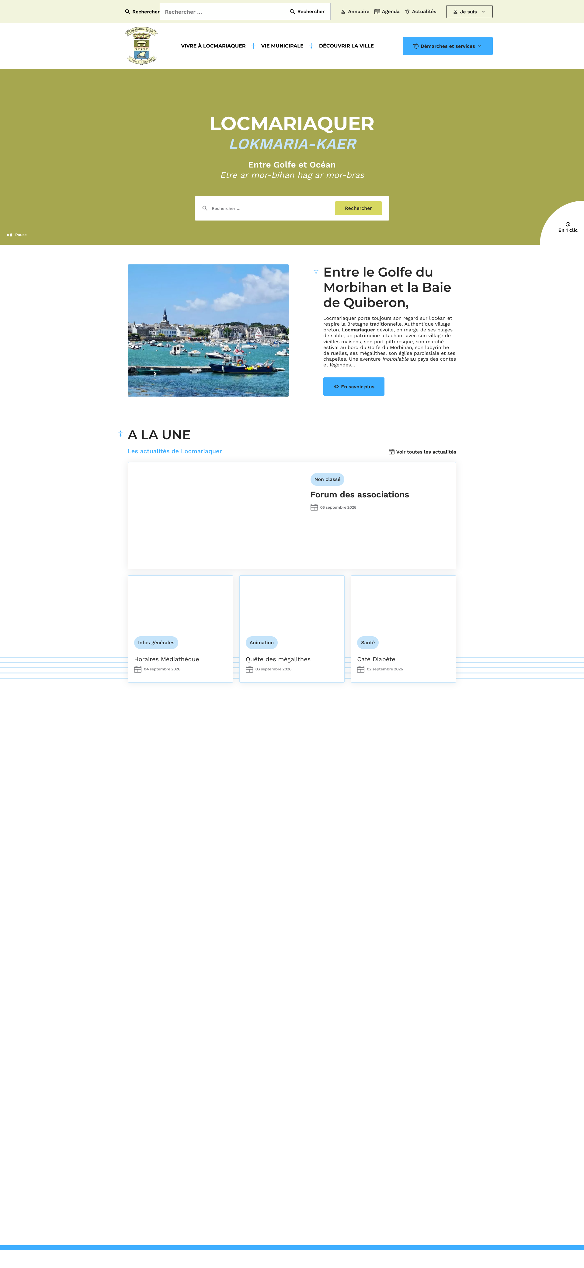 Aperçu du site