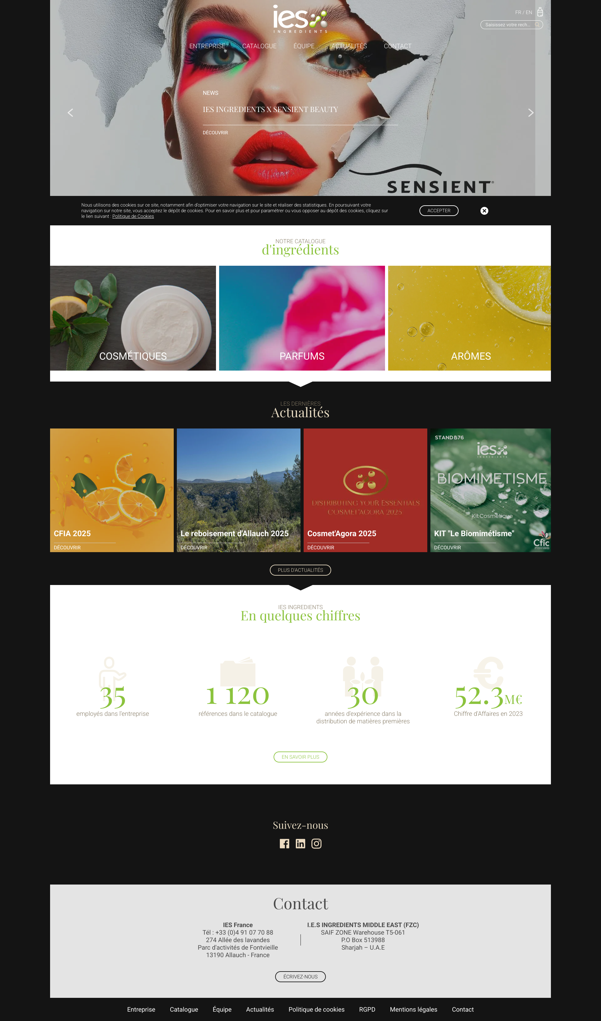 Aperçu du site