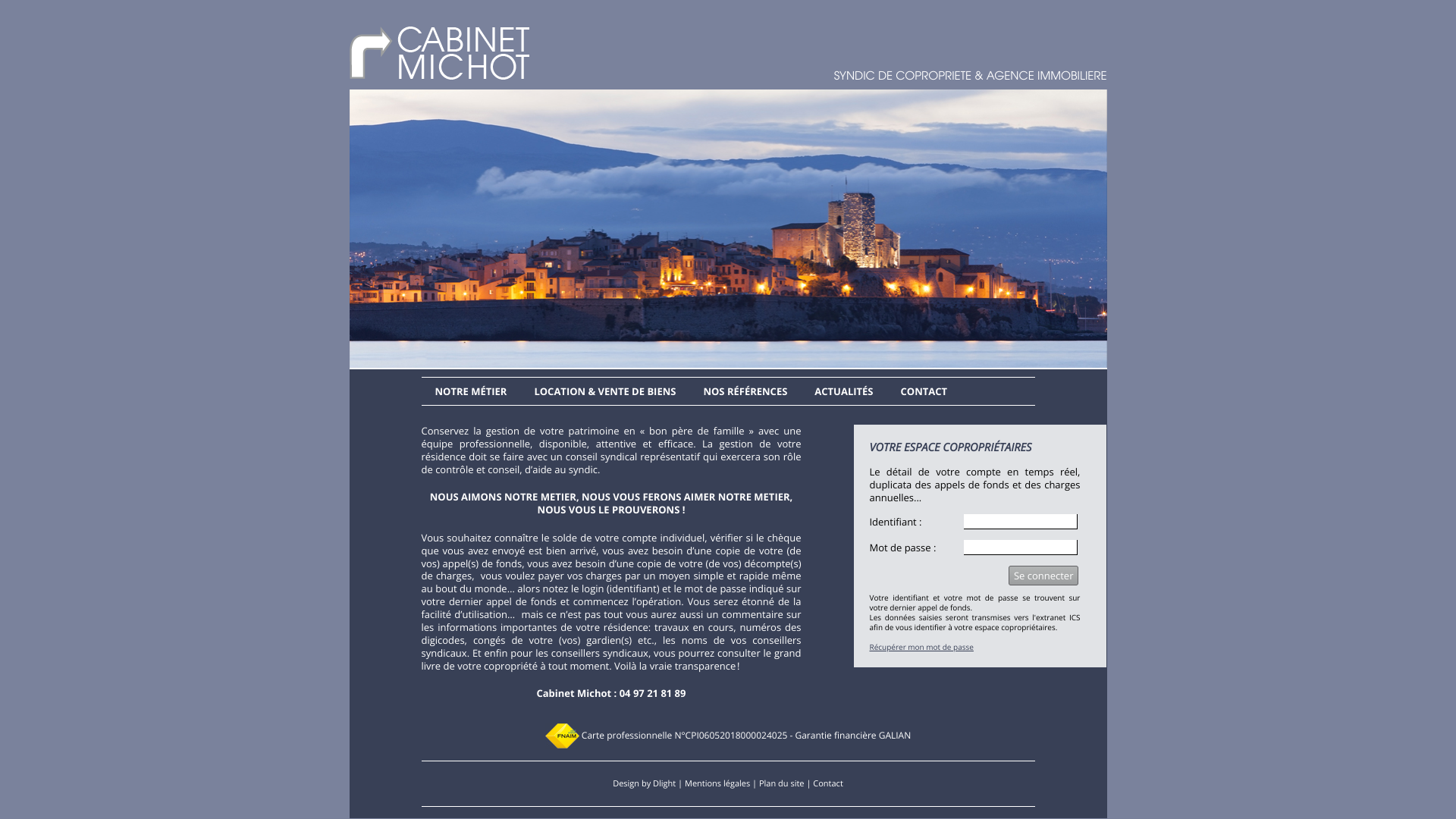 Aperçu du site