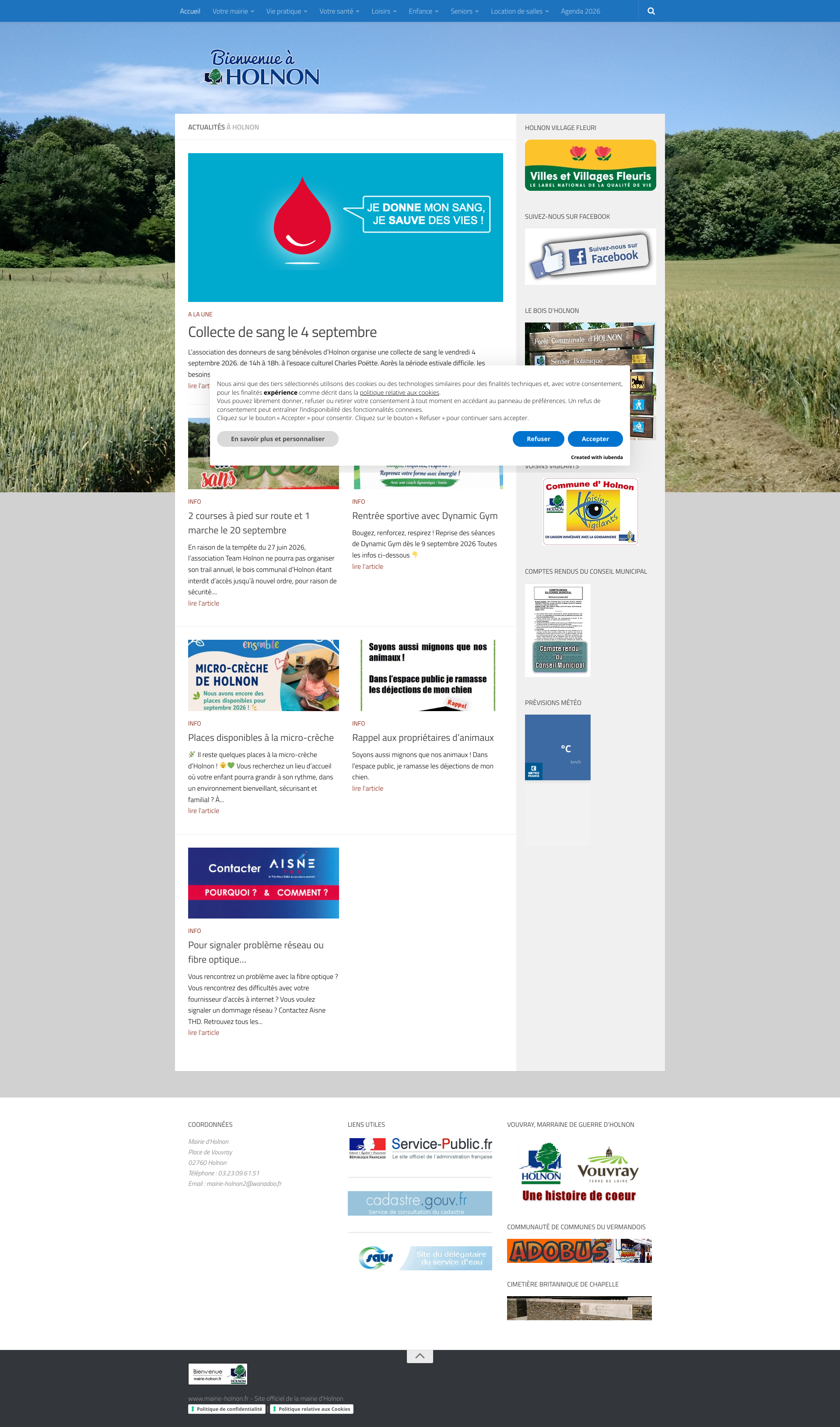 Aperçu du site