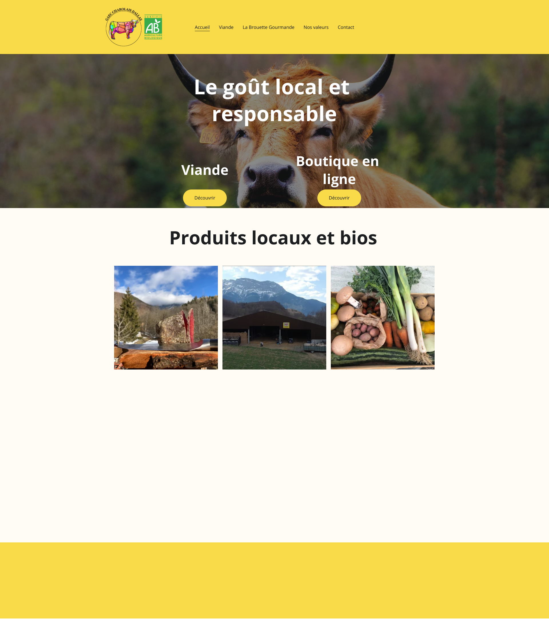 Aperçu du site