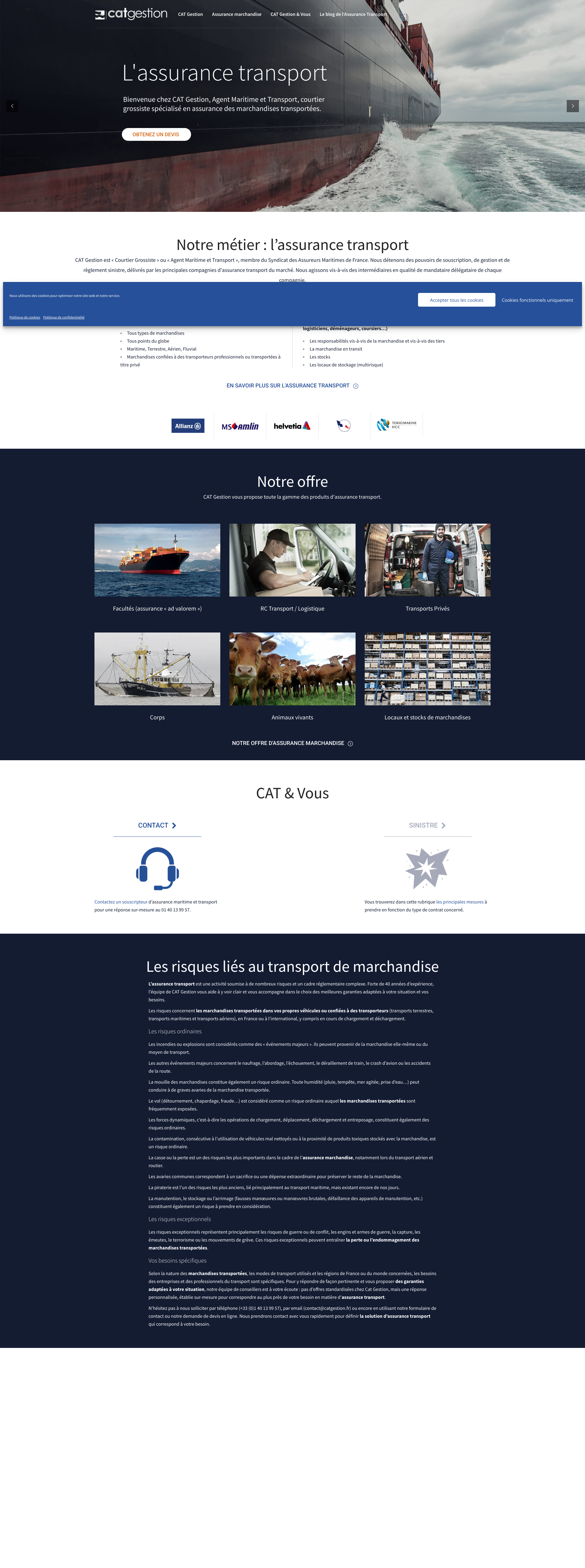 Aperçu du site