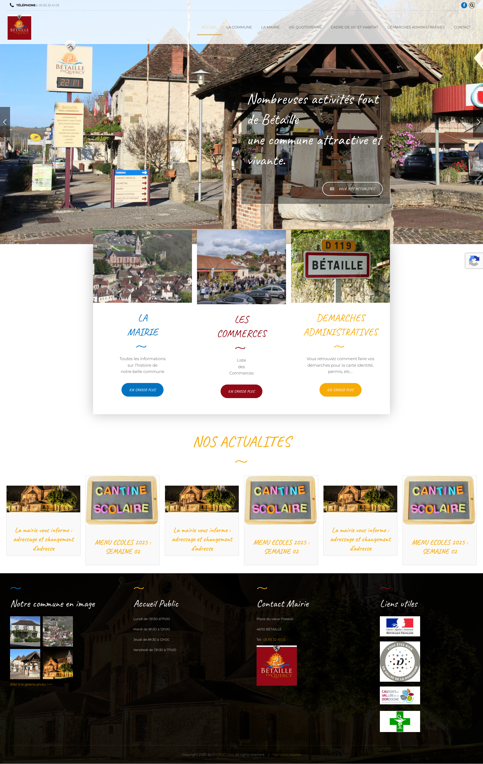 Aperçu du site
