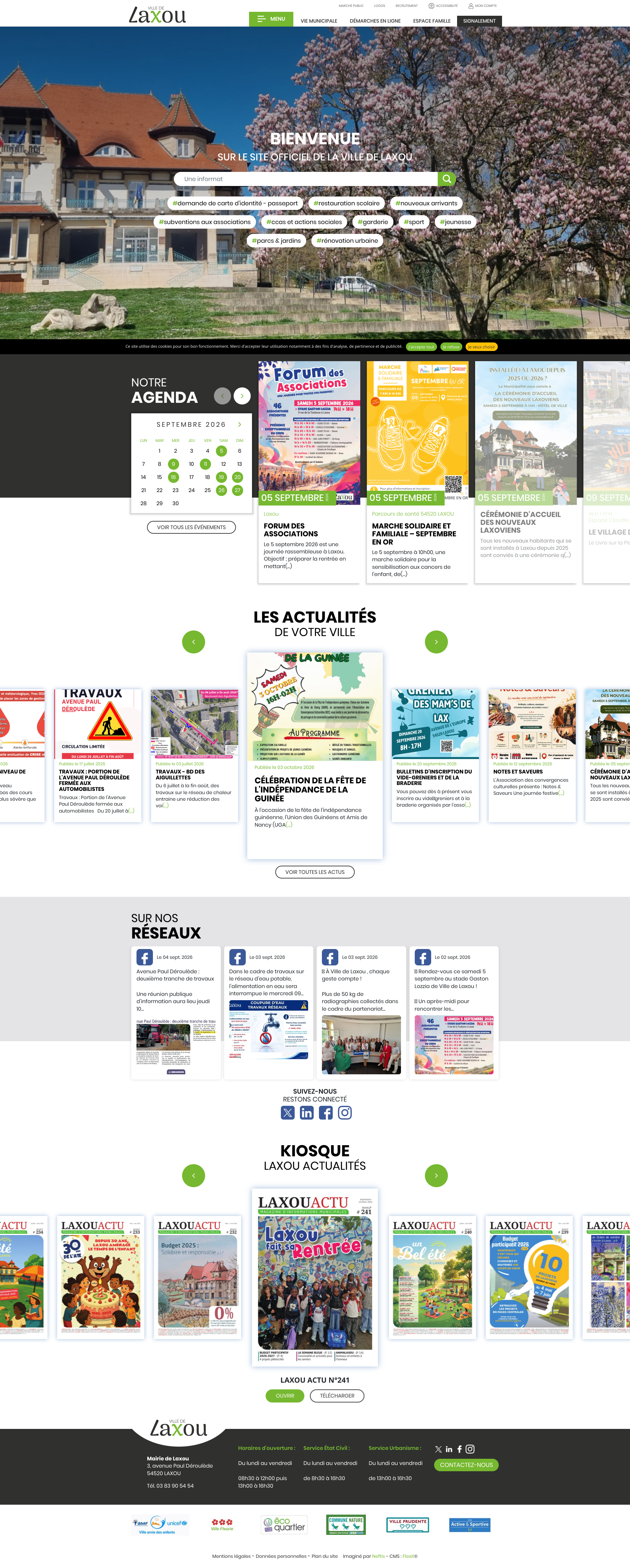 Aperçu du site