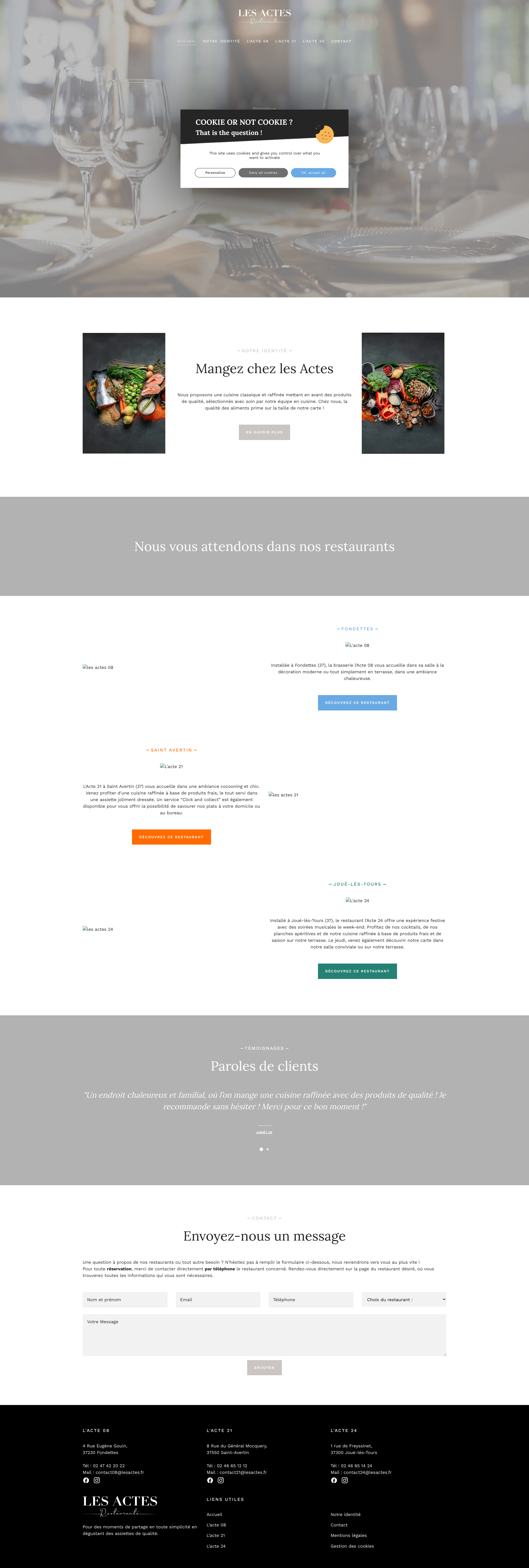 Aperçu du site