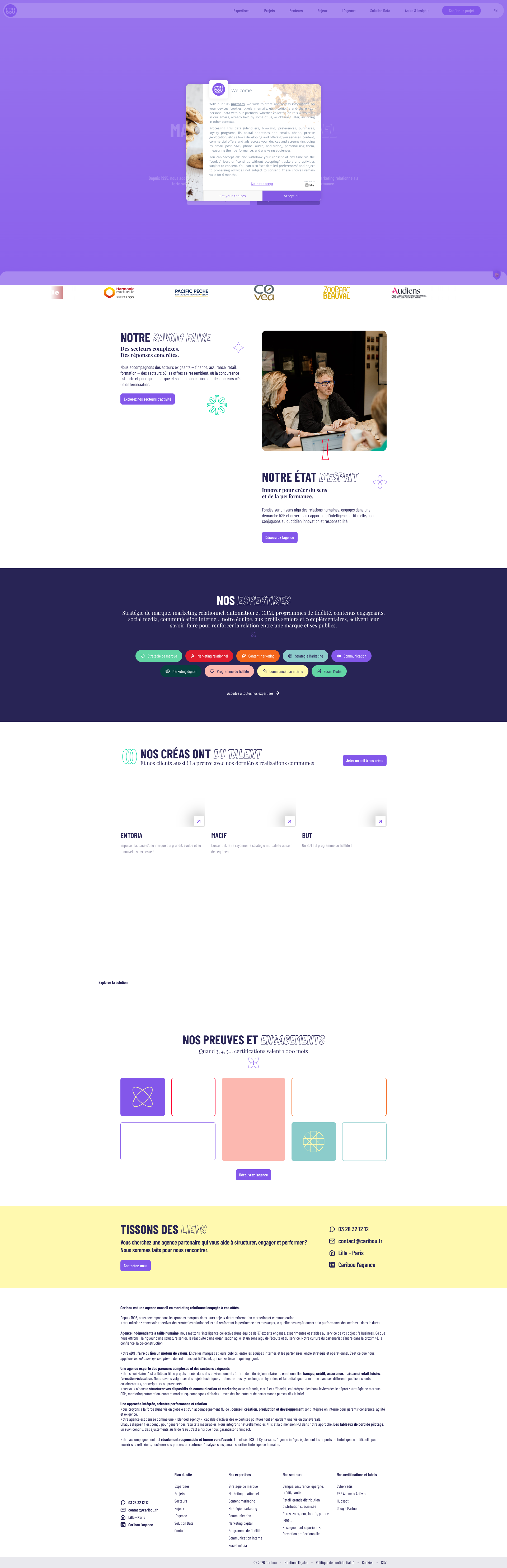 Aperçu du site