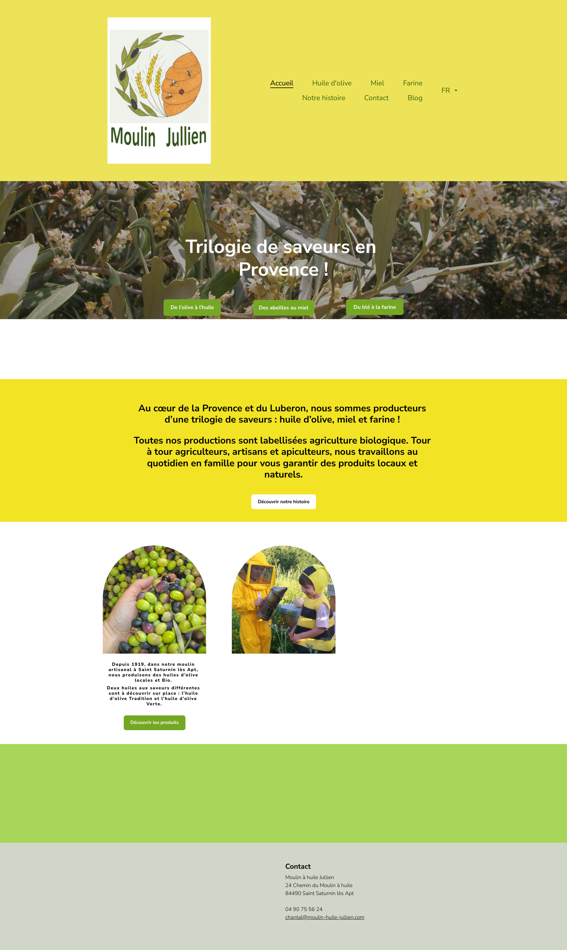 Aperçu du site