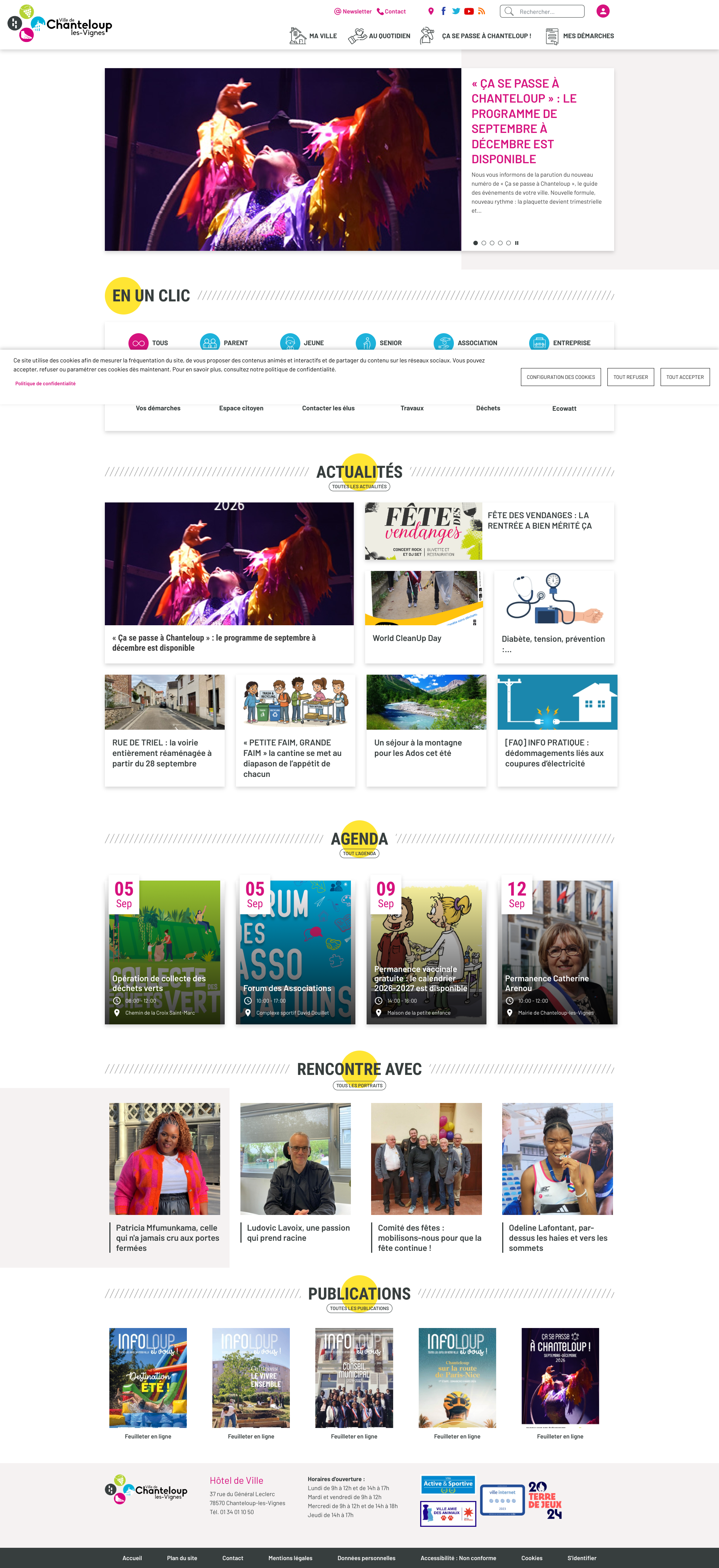 Aperçu du site