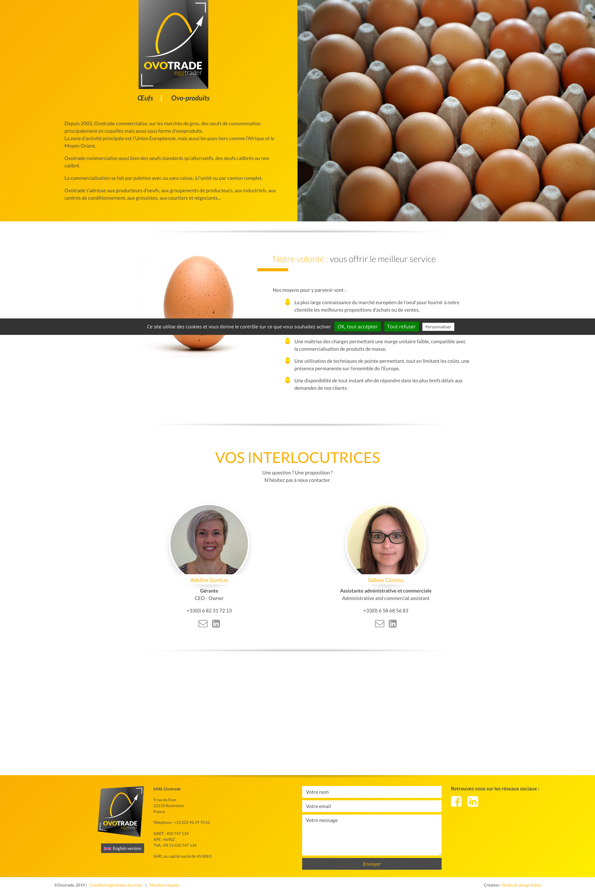 Aperçu du site