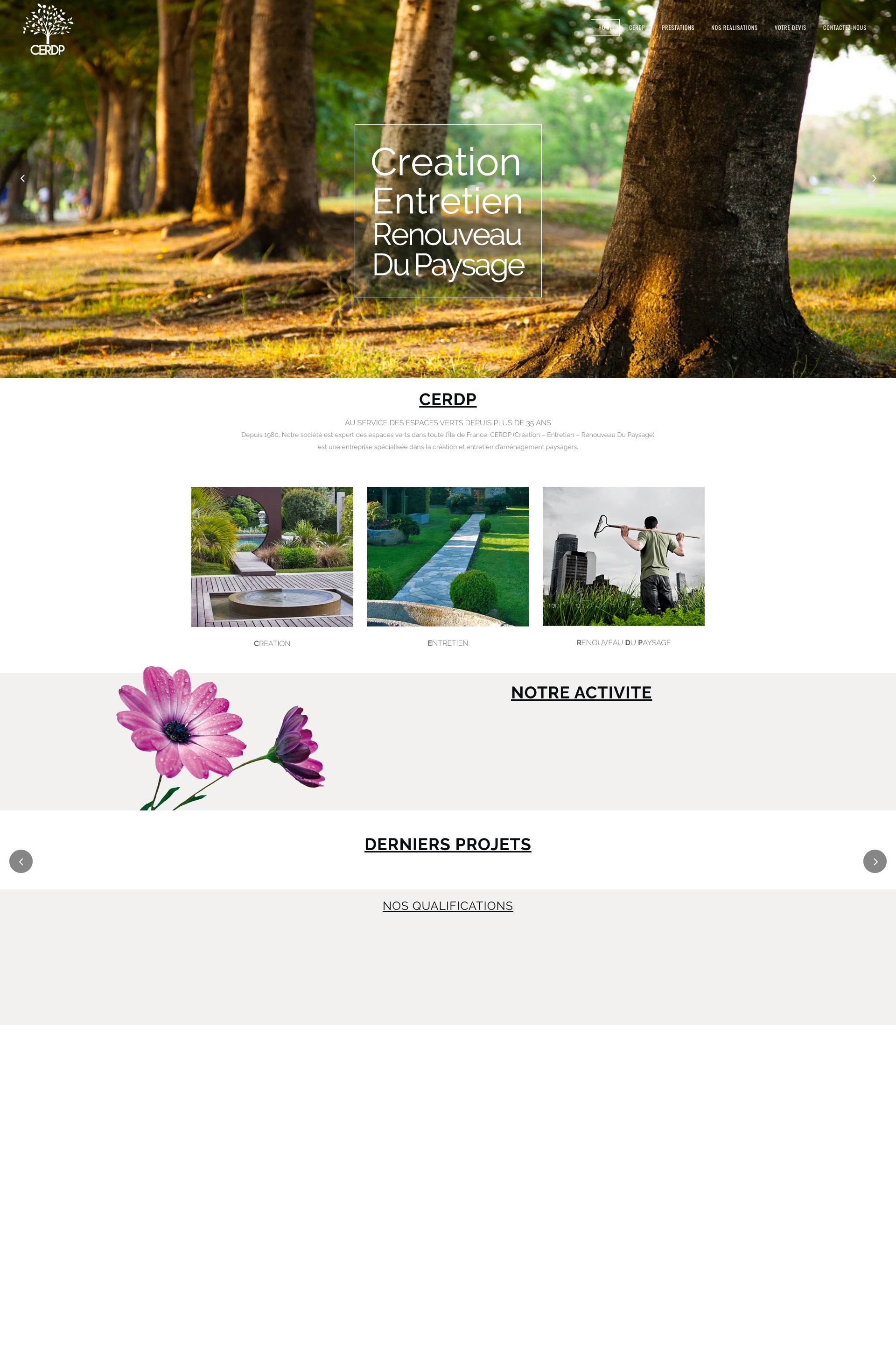 Aperçu du site