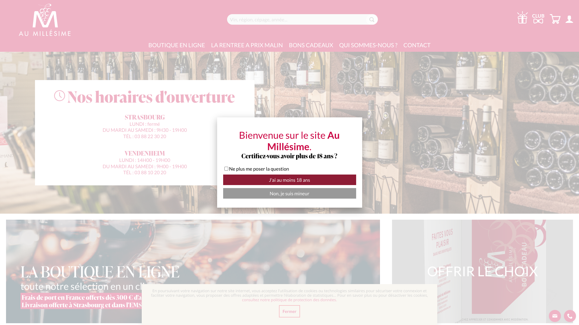 Aperçu du site