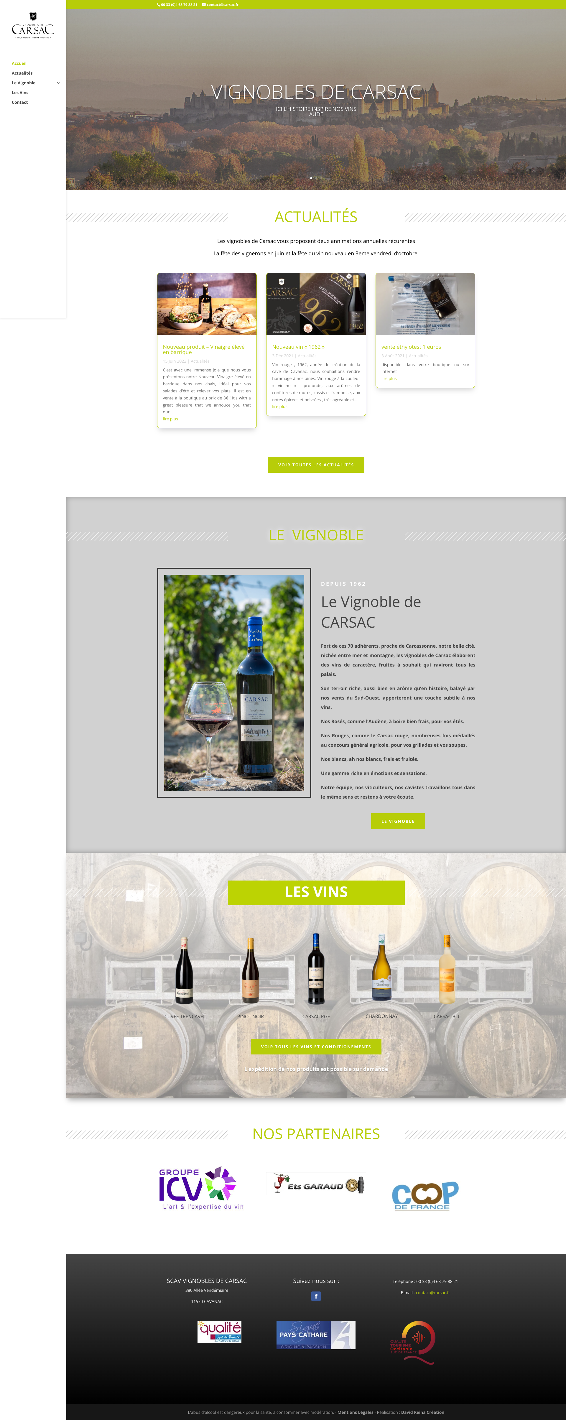 Aperçu du site