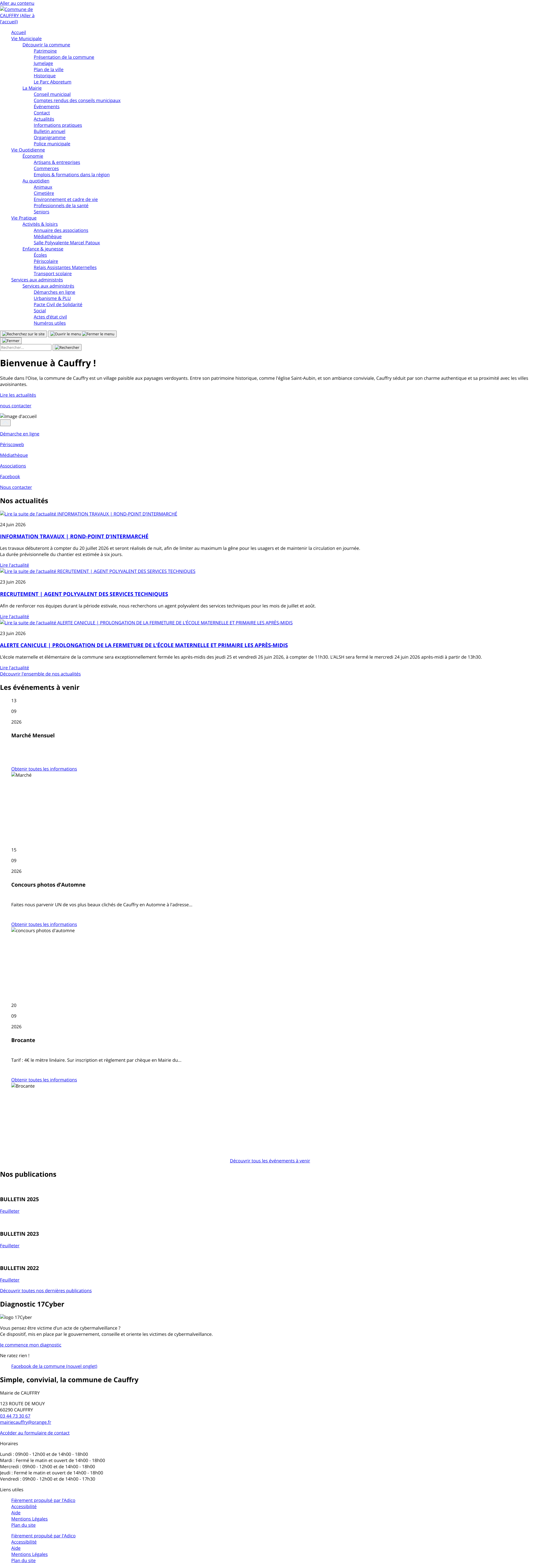 Aperçu du site