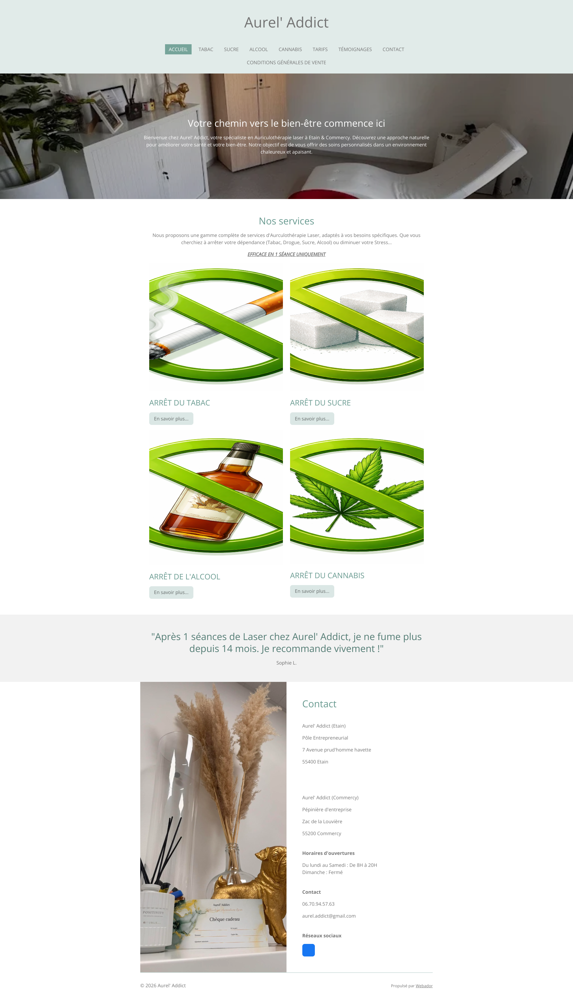 Aperçu du site