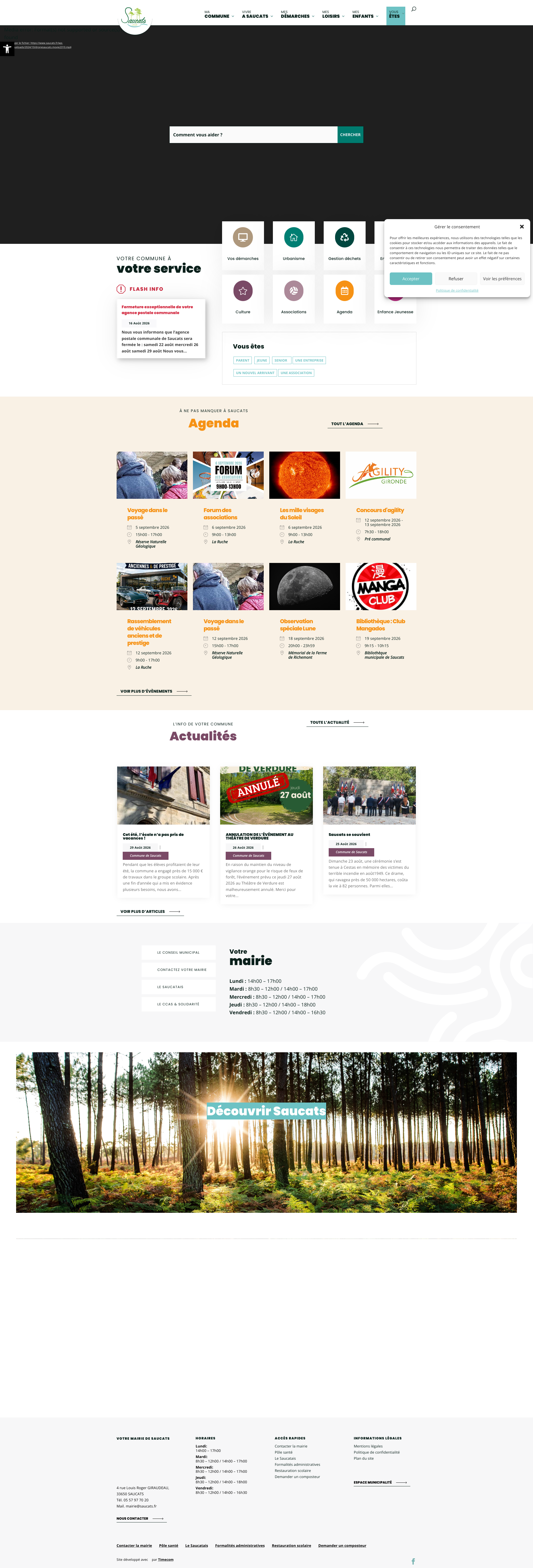 Aperçu du site
