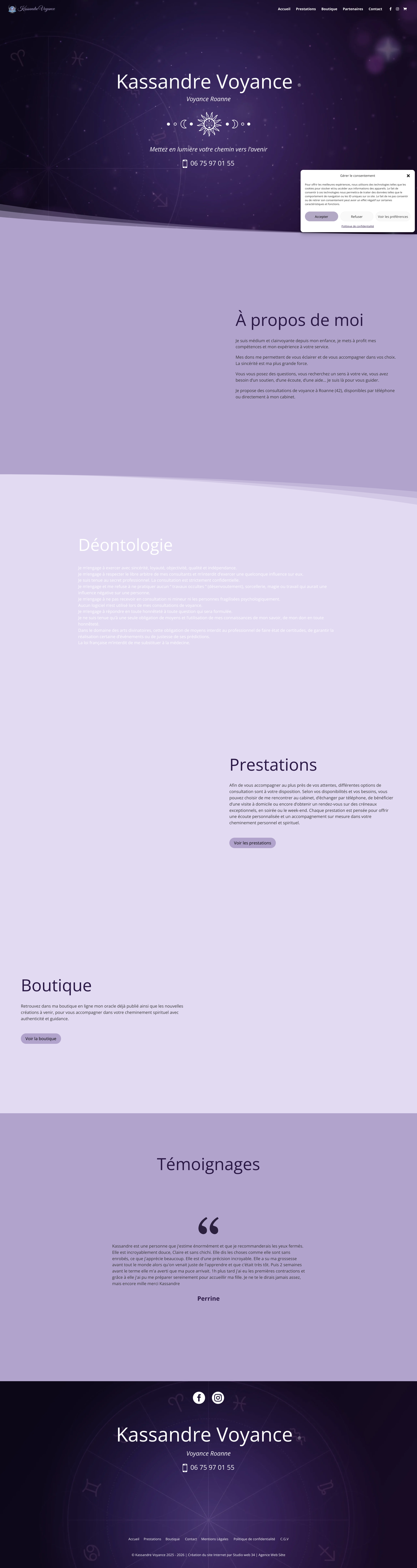 Aperçu du site