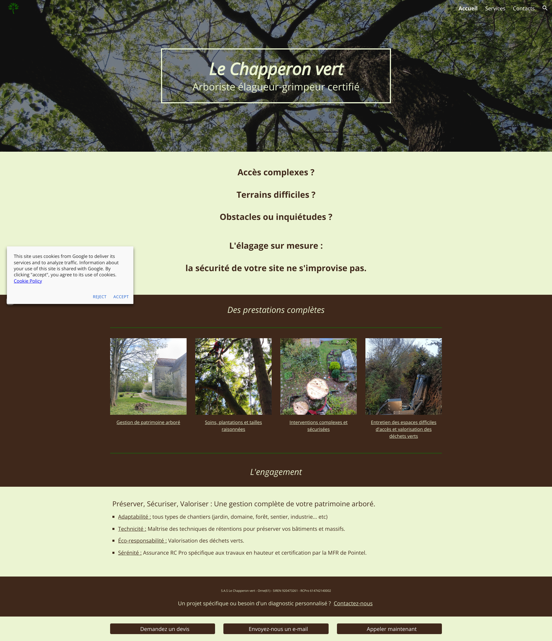 Aperçu du site