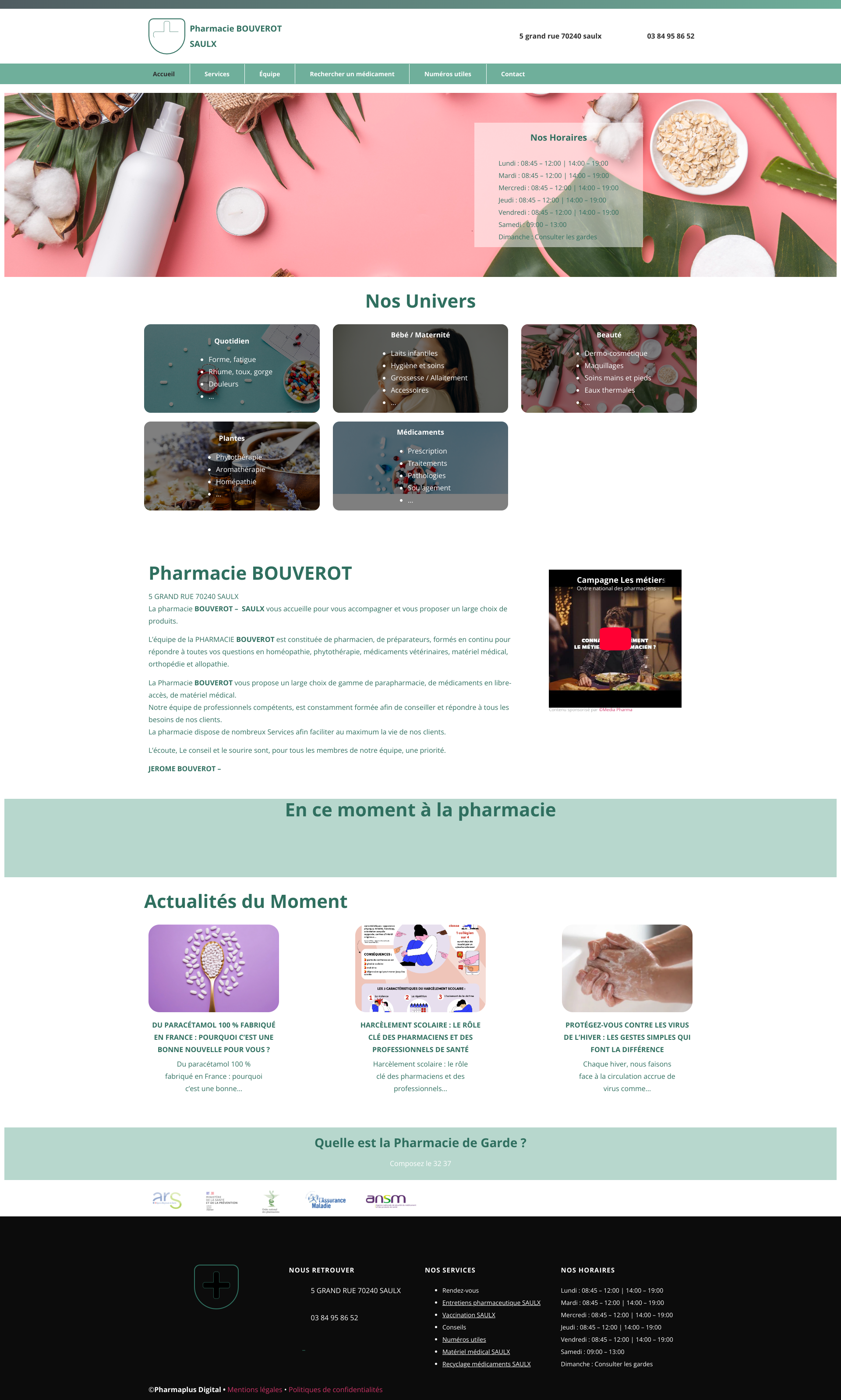 Aperçu du site
