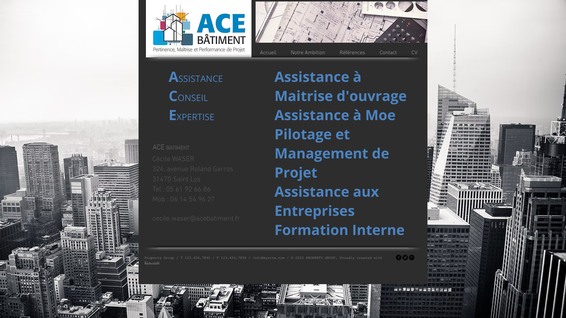 Aperçu du site