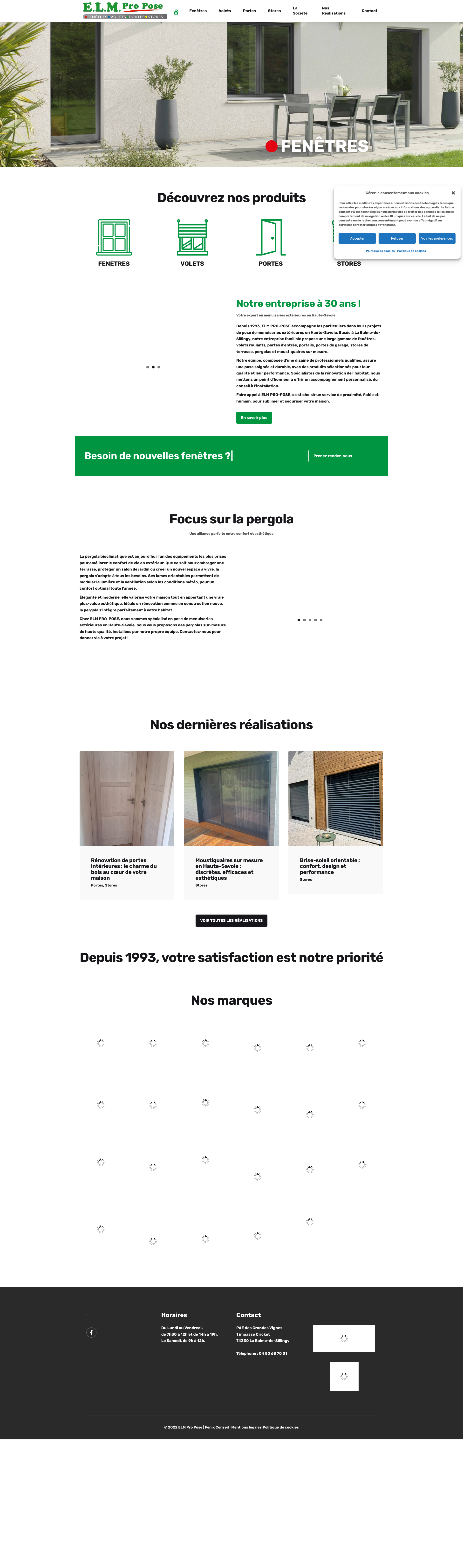 Aperçu du site