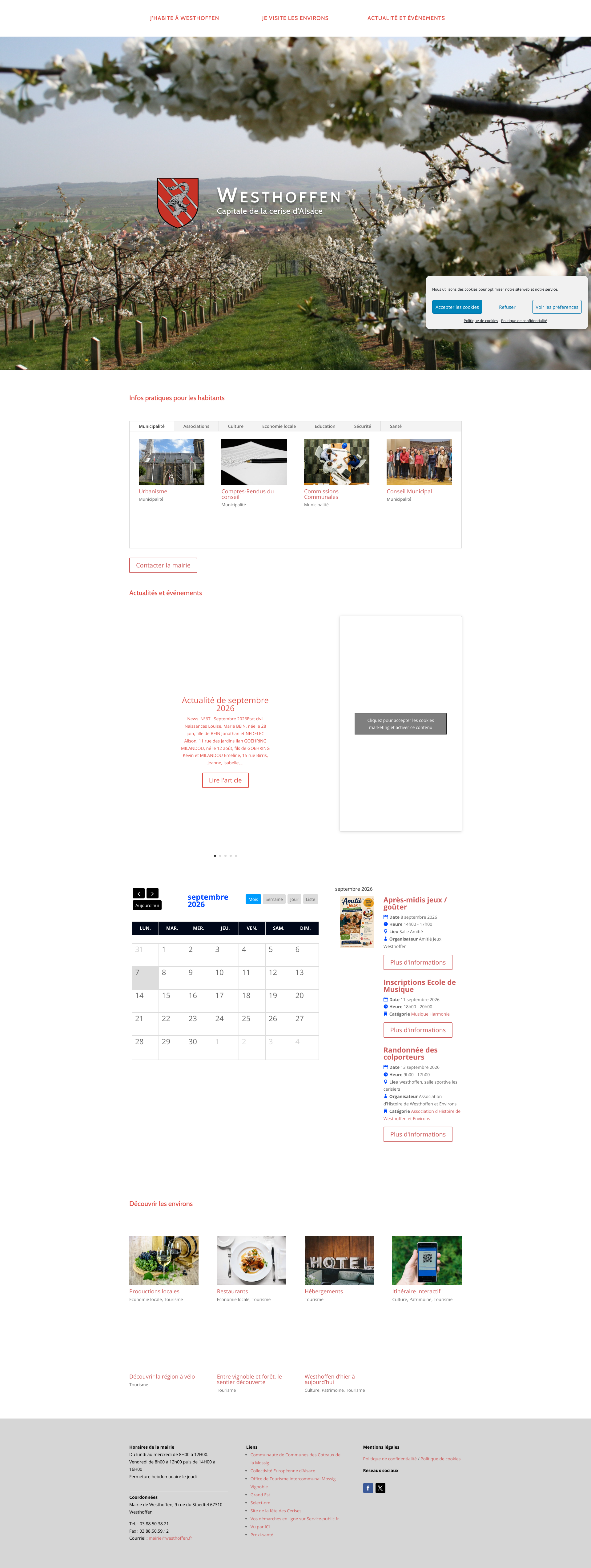 Aperçu du site