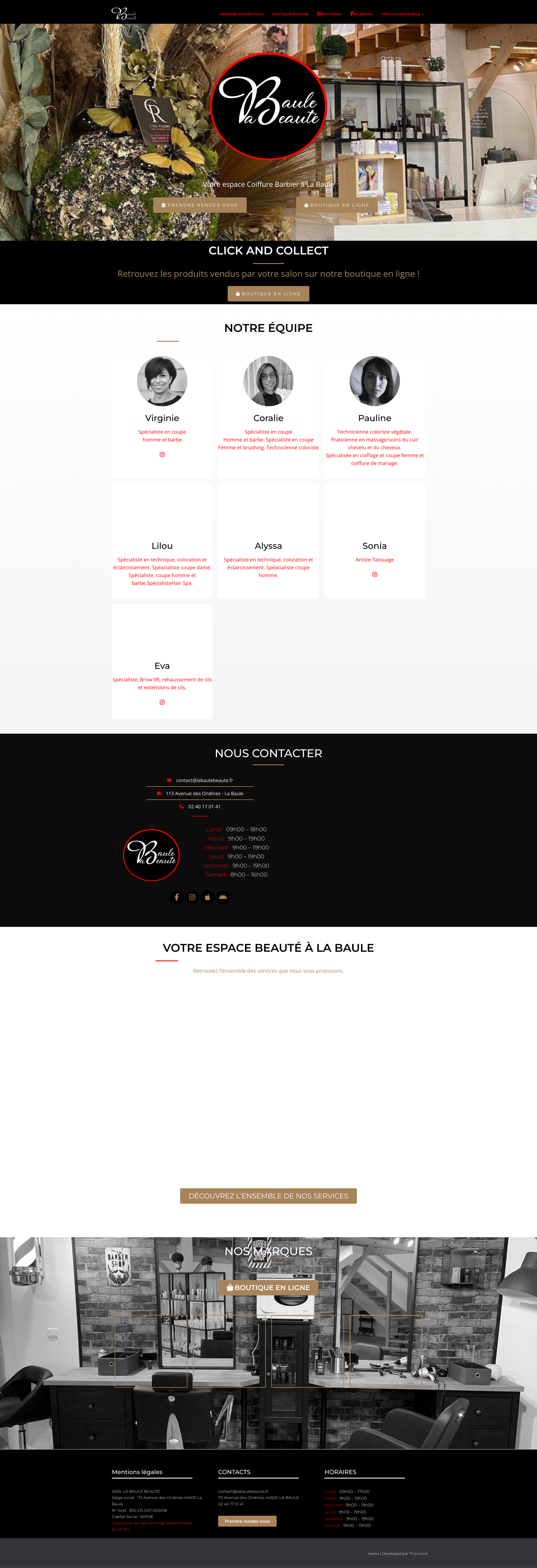 Aperçu du site