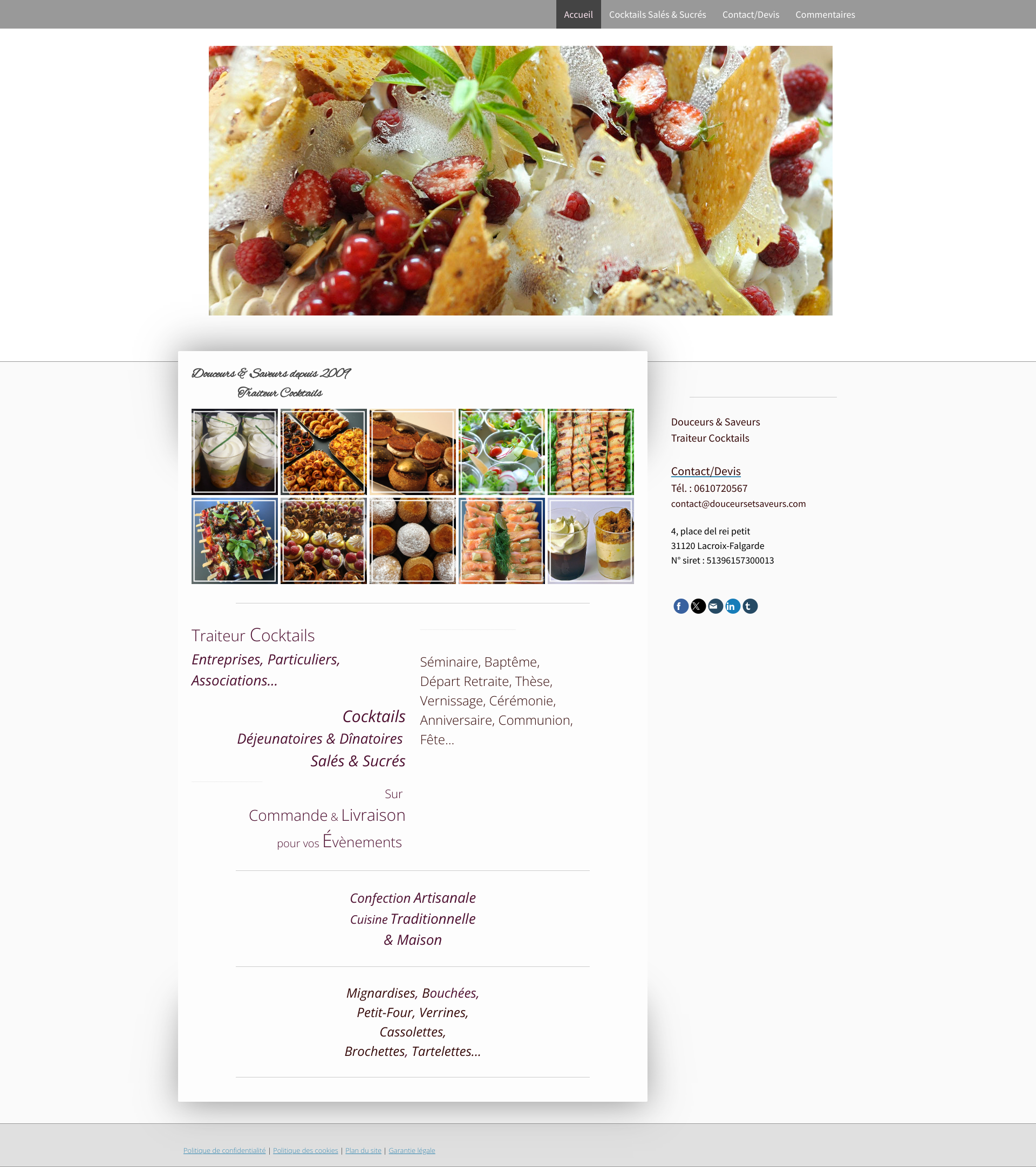 Aperçu du site