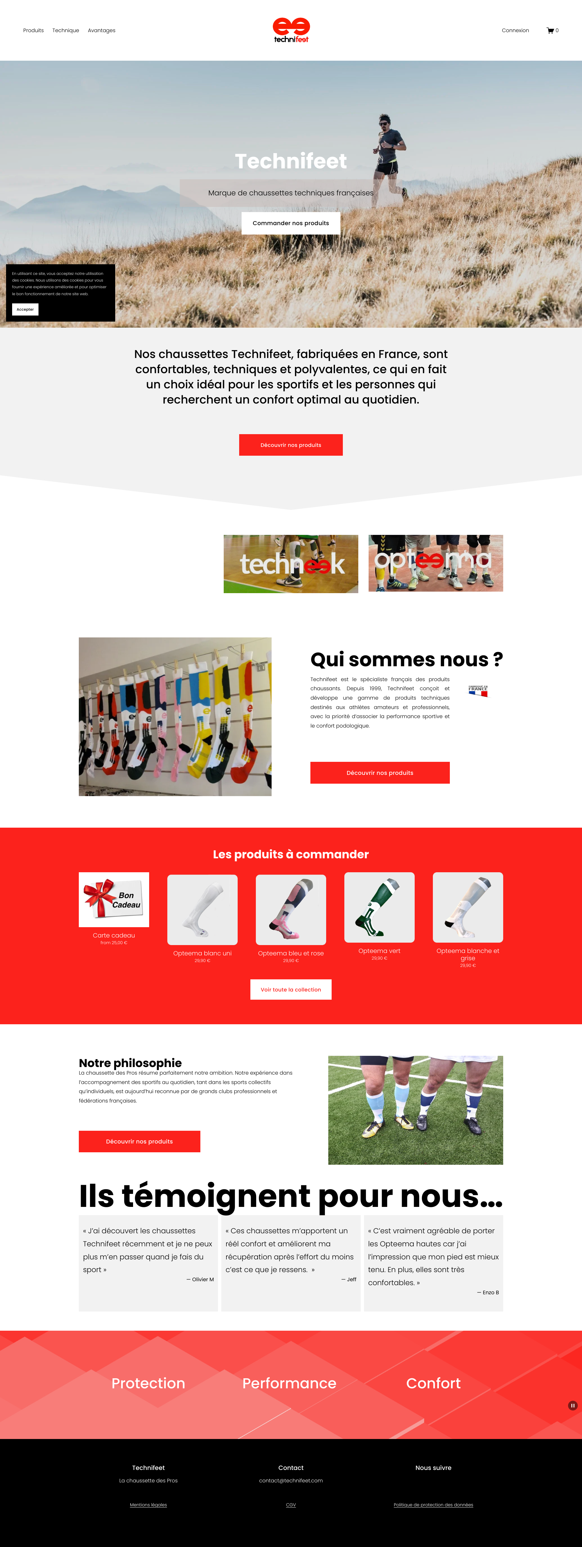 Aperçu du site