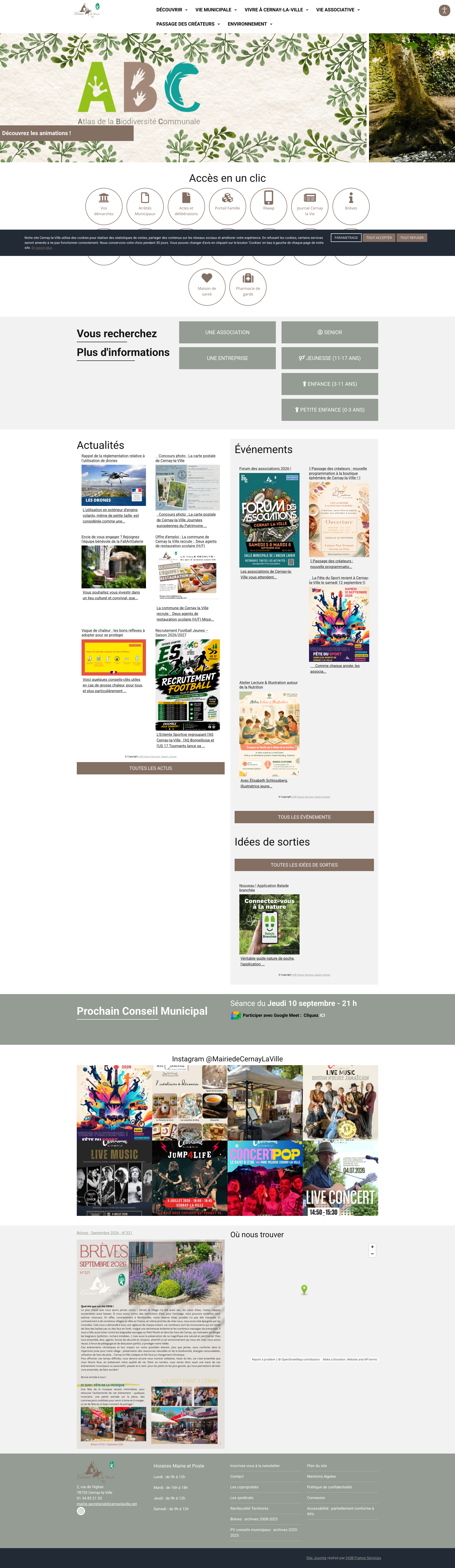 Aperçu du site
