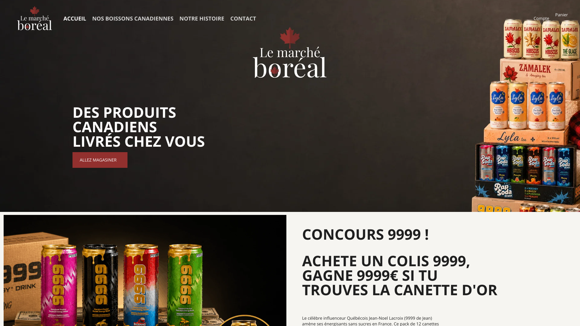 Aperçu du site