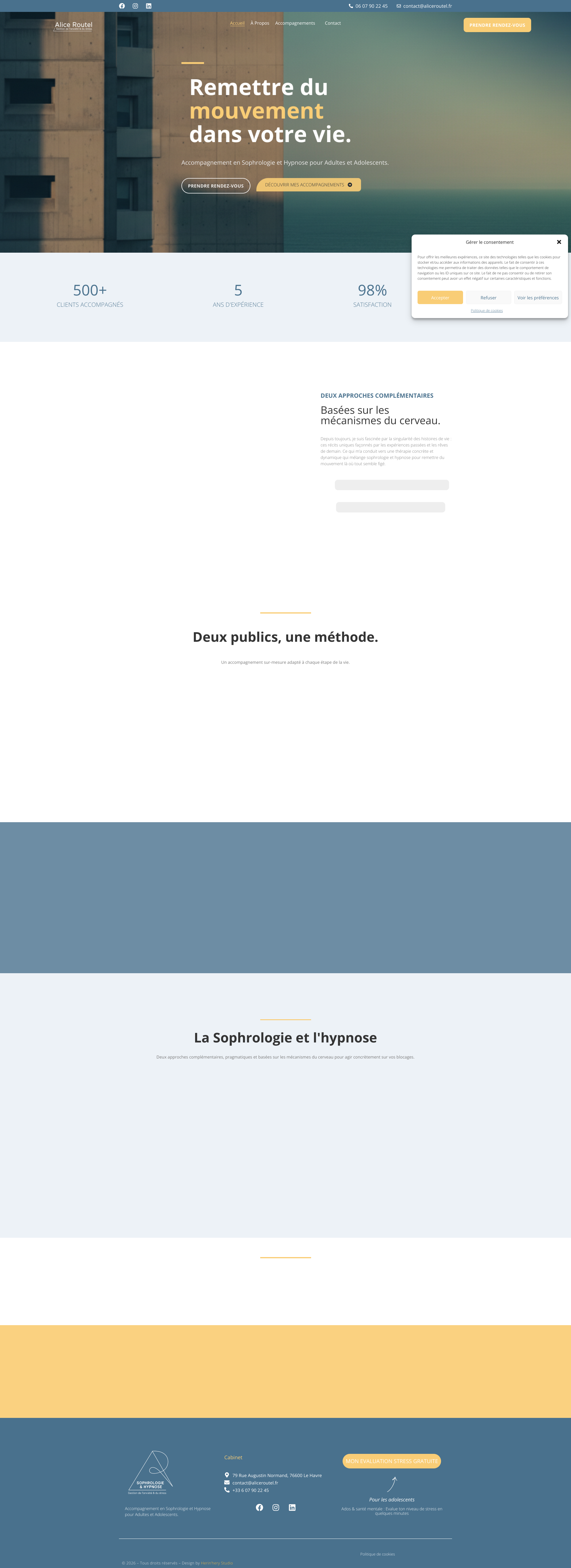 Aperçu du site