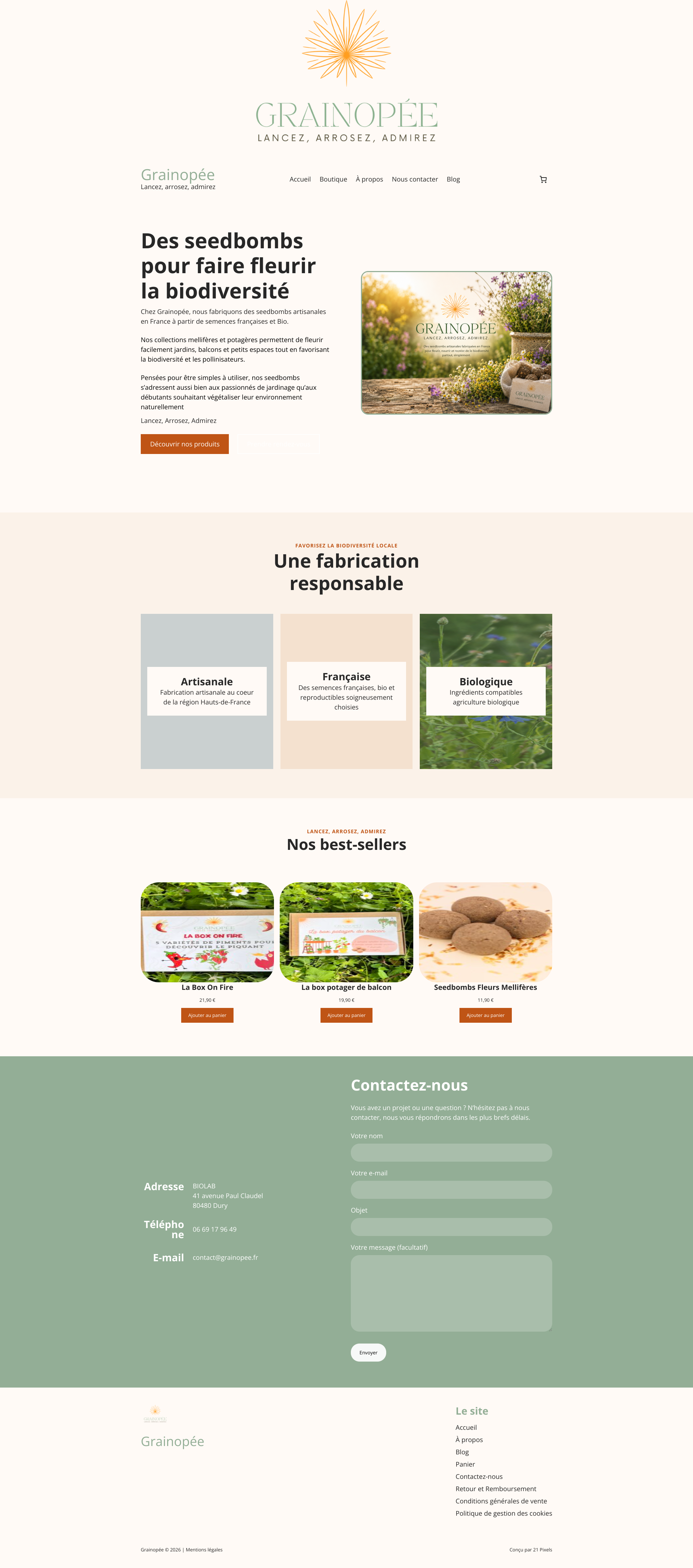 Aperçu du site