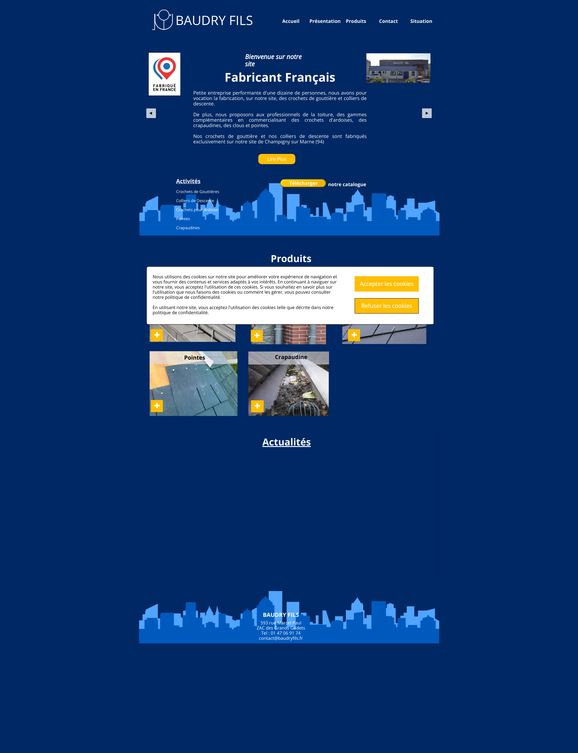 Aperçu du site