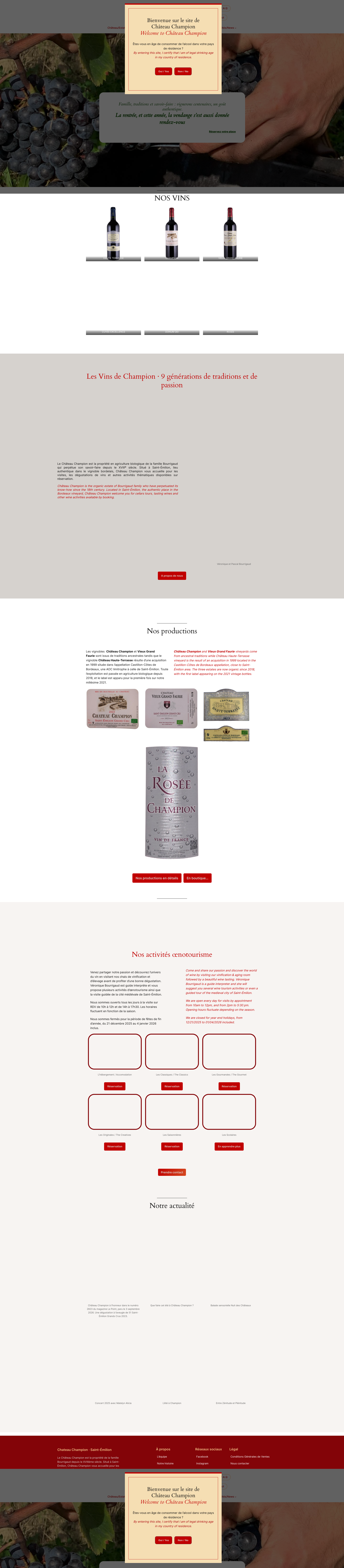 Aperçu du site