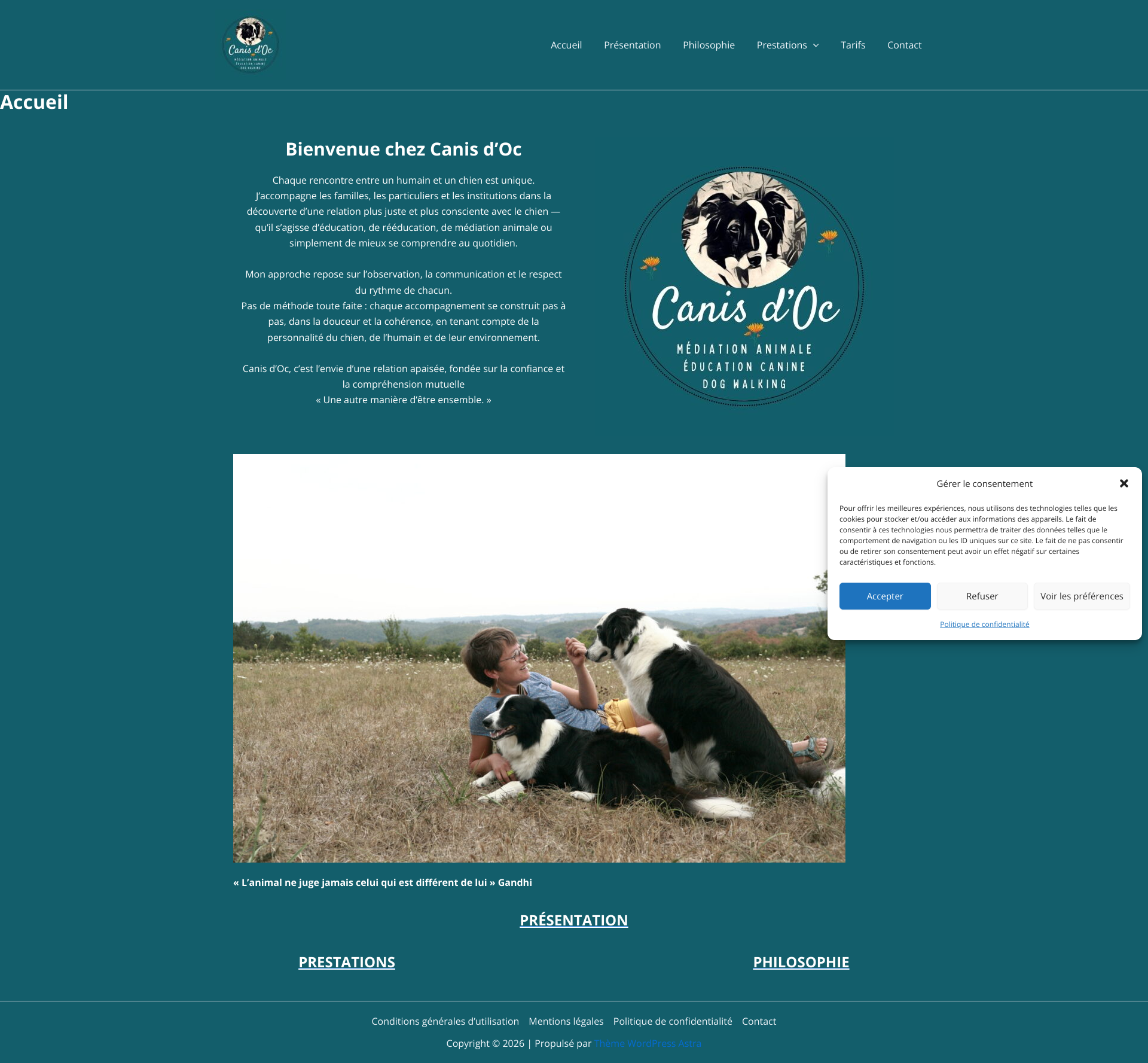 Aperçu du site