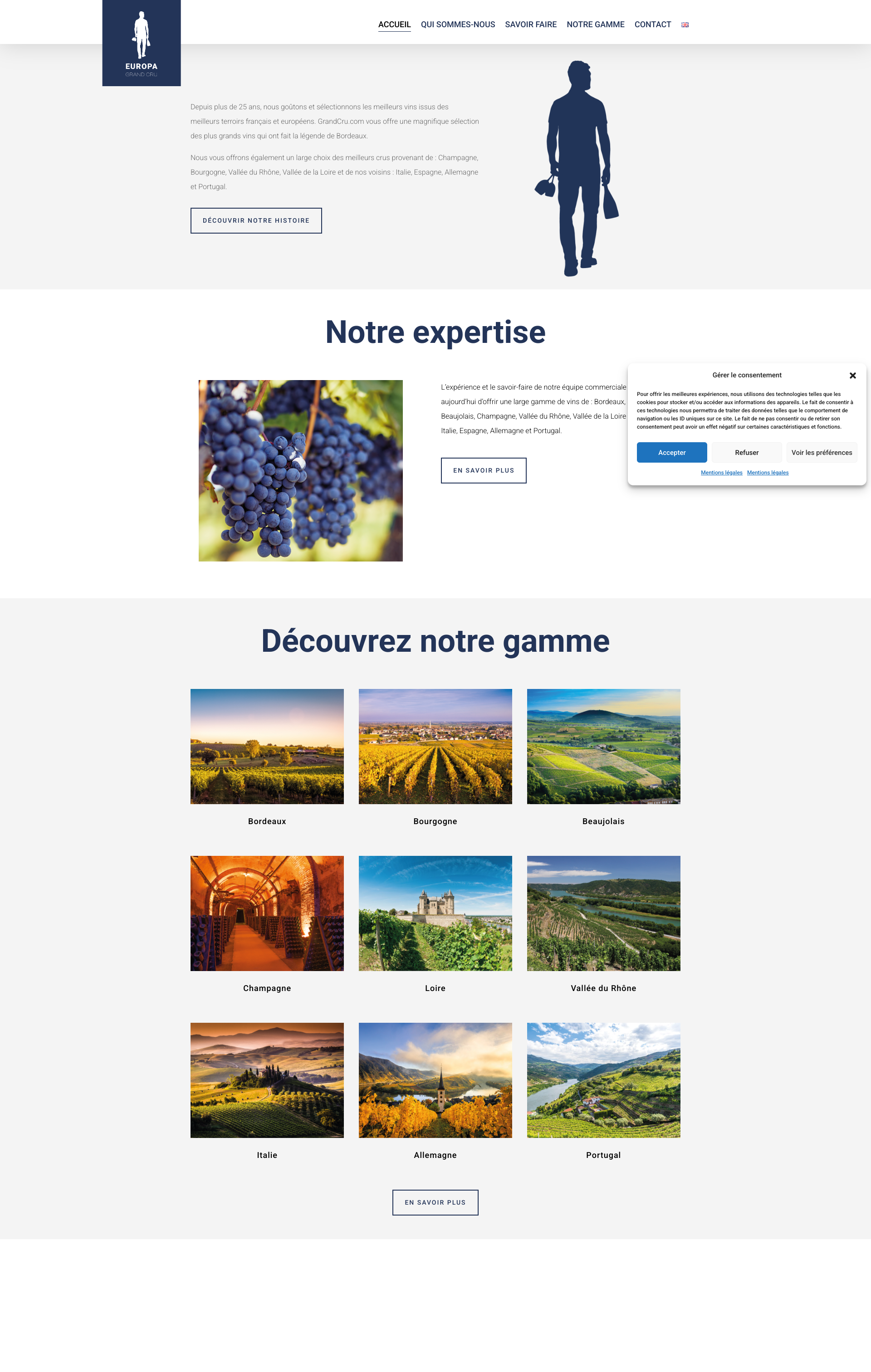 Aperçu du site