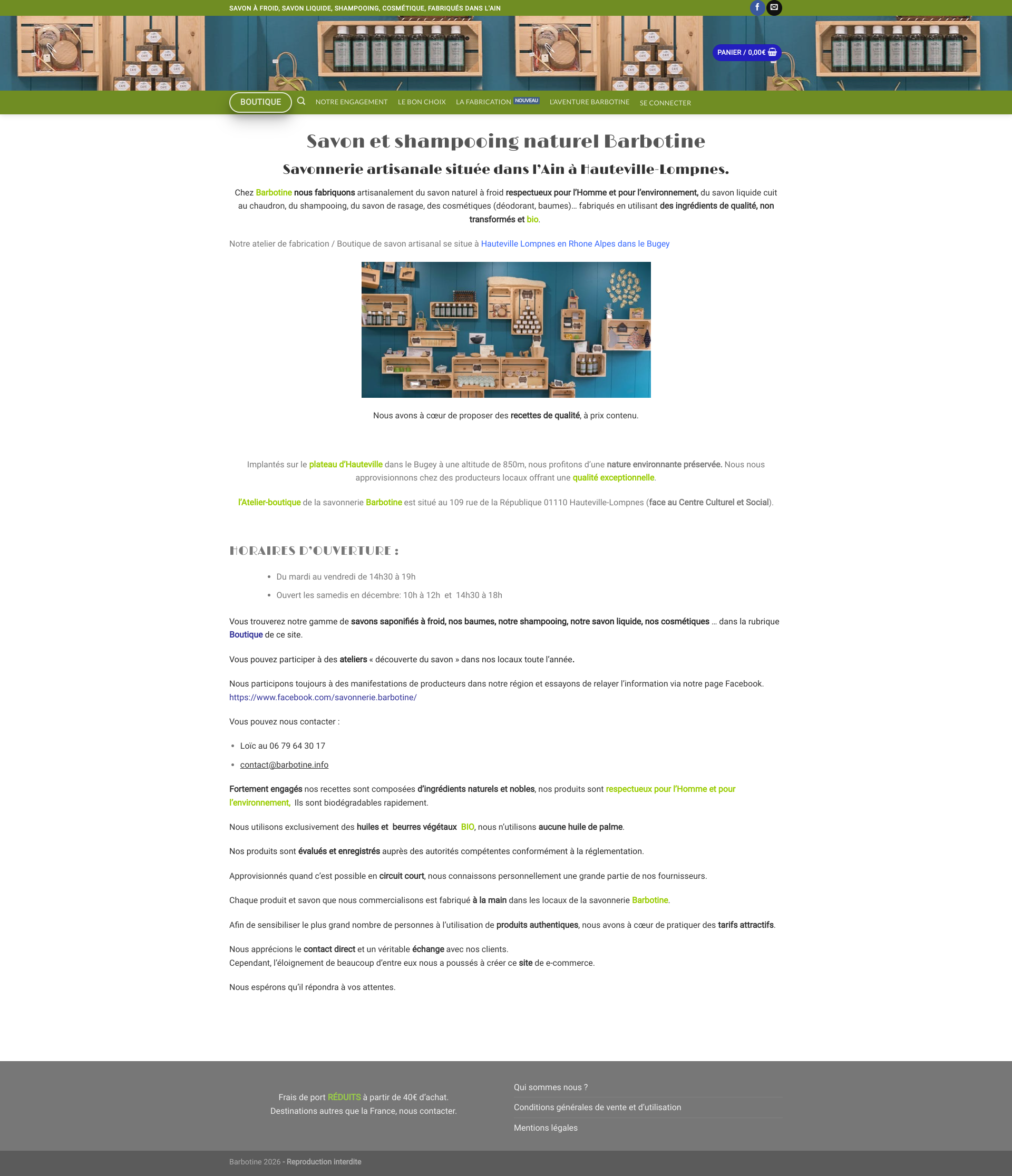 Aperçu du site