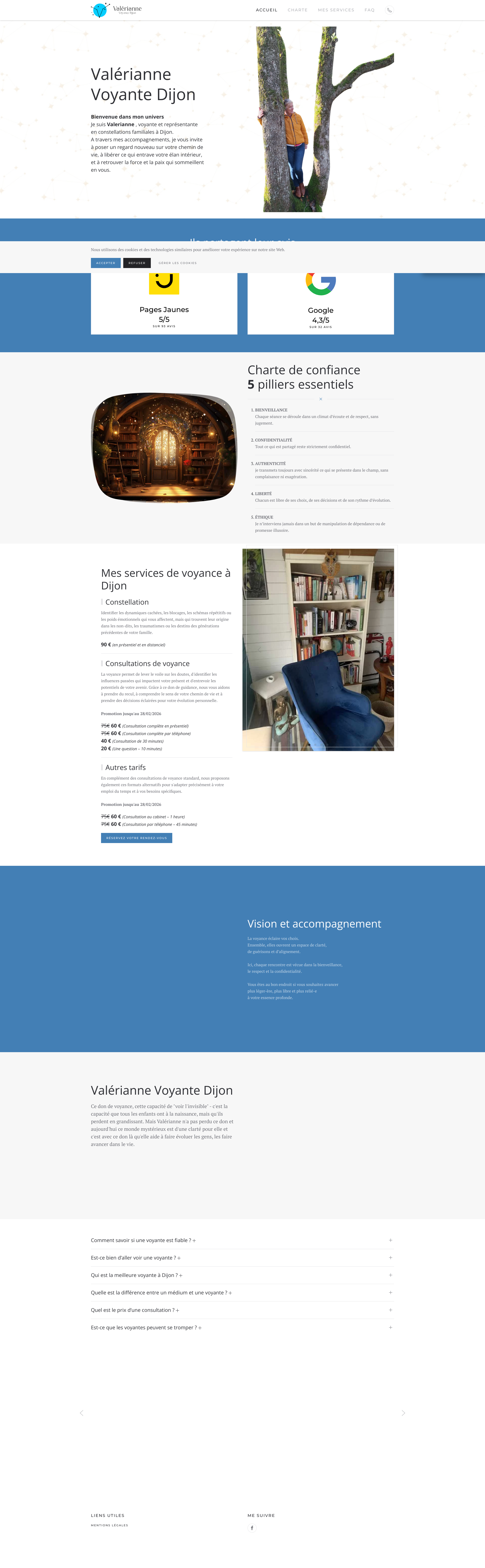Aperçu du site