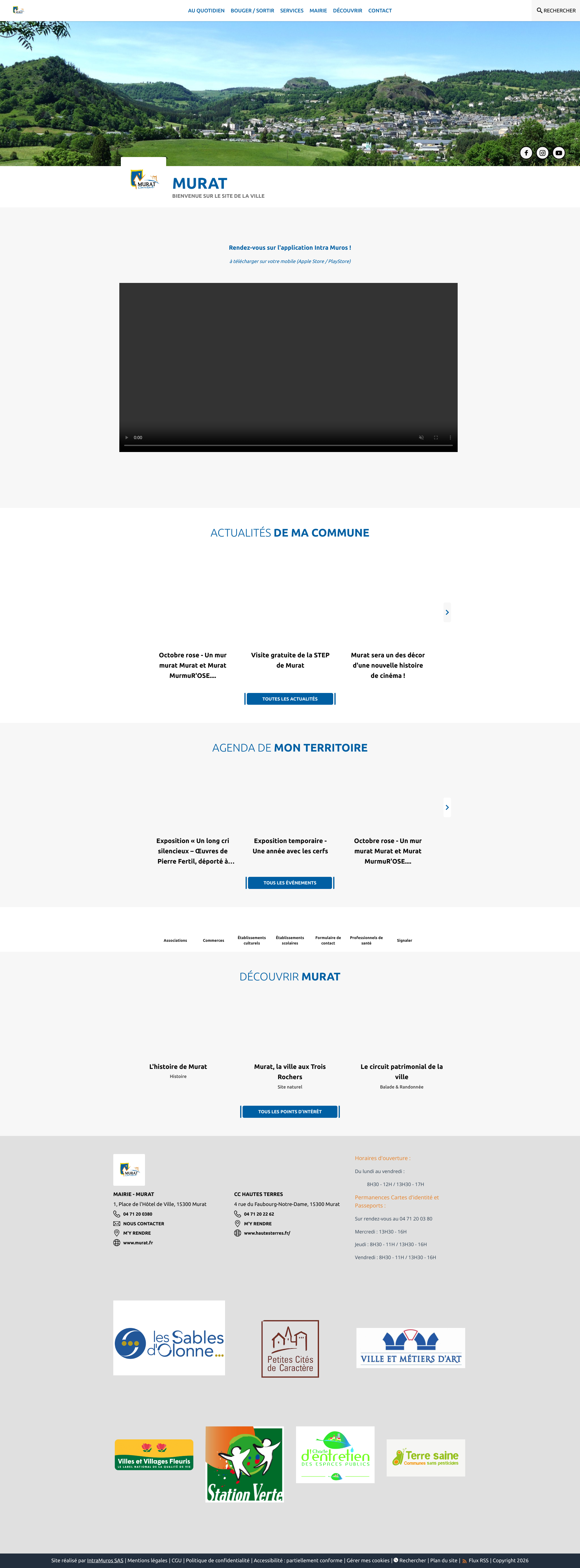 Aperçu du site