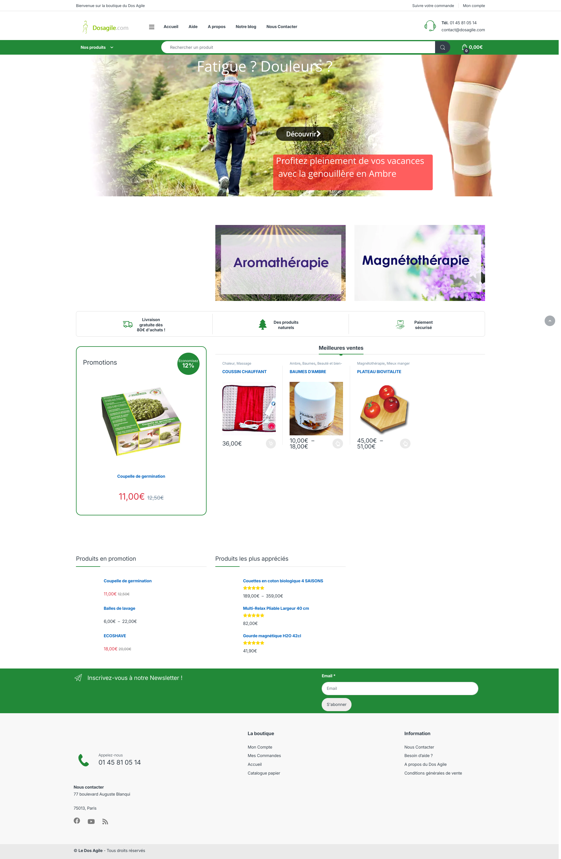Aperçu du site