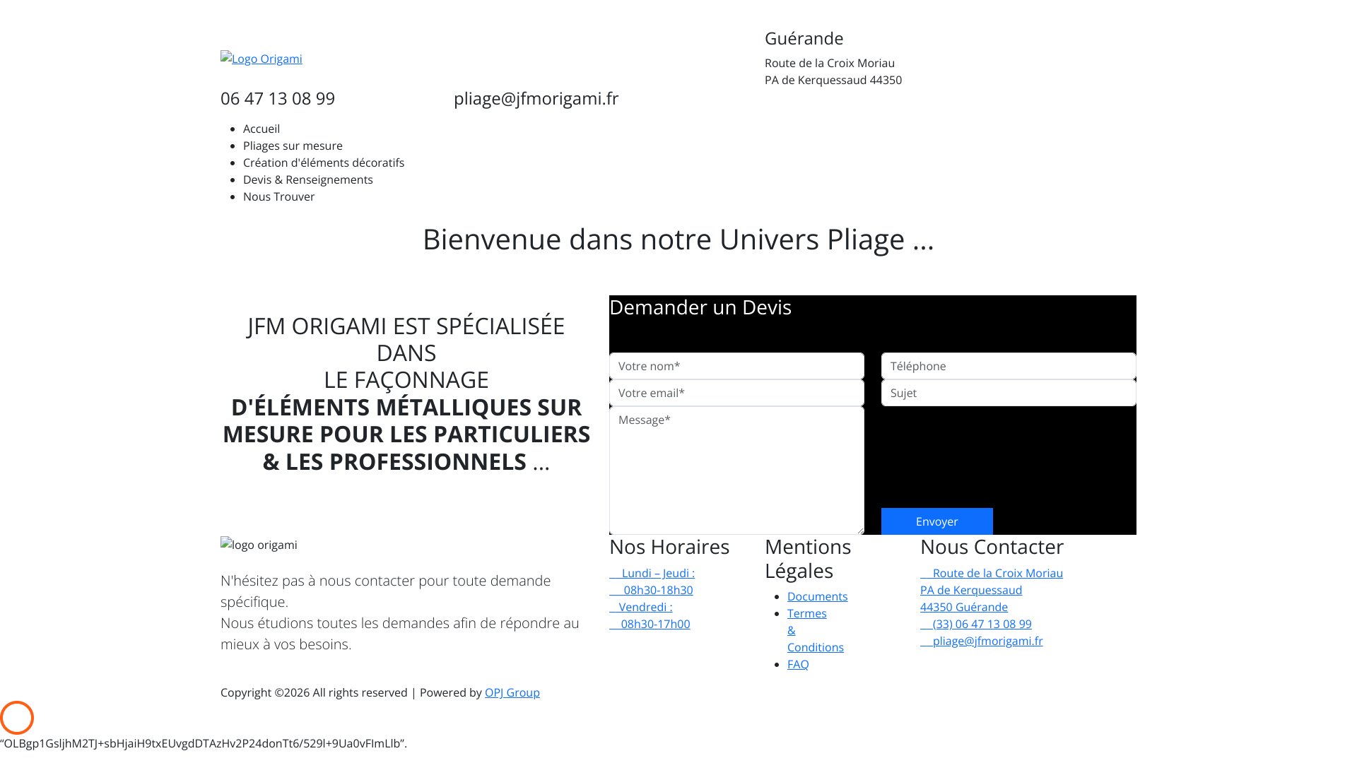 Aperçu du site