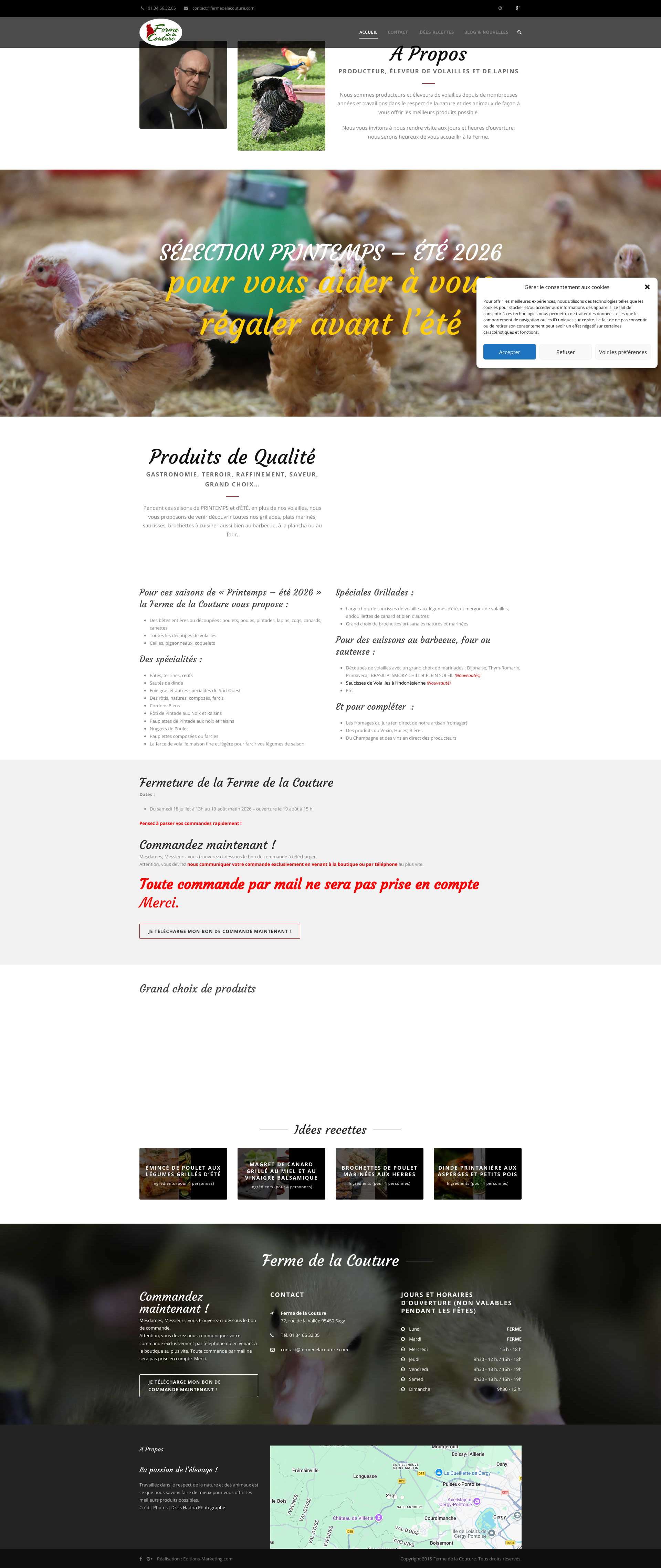 Aperçu du site