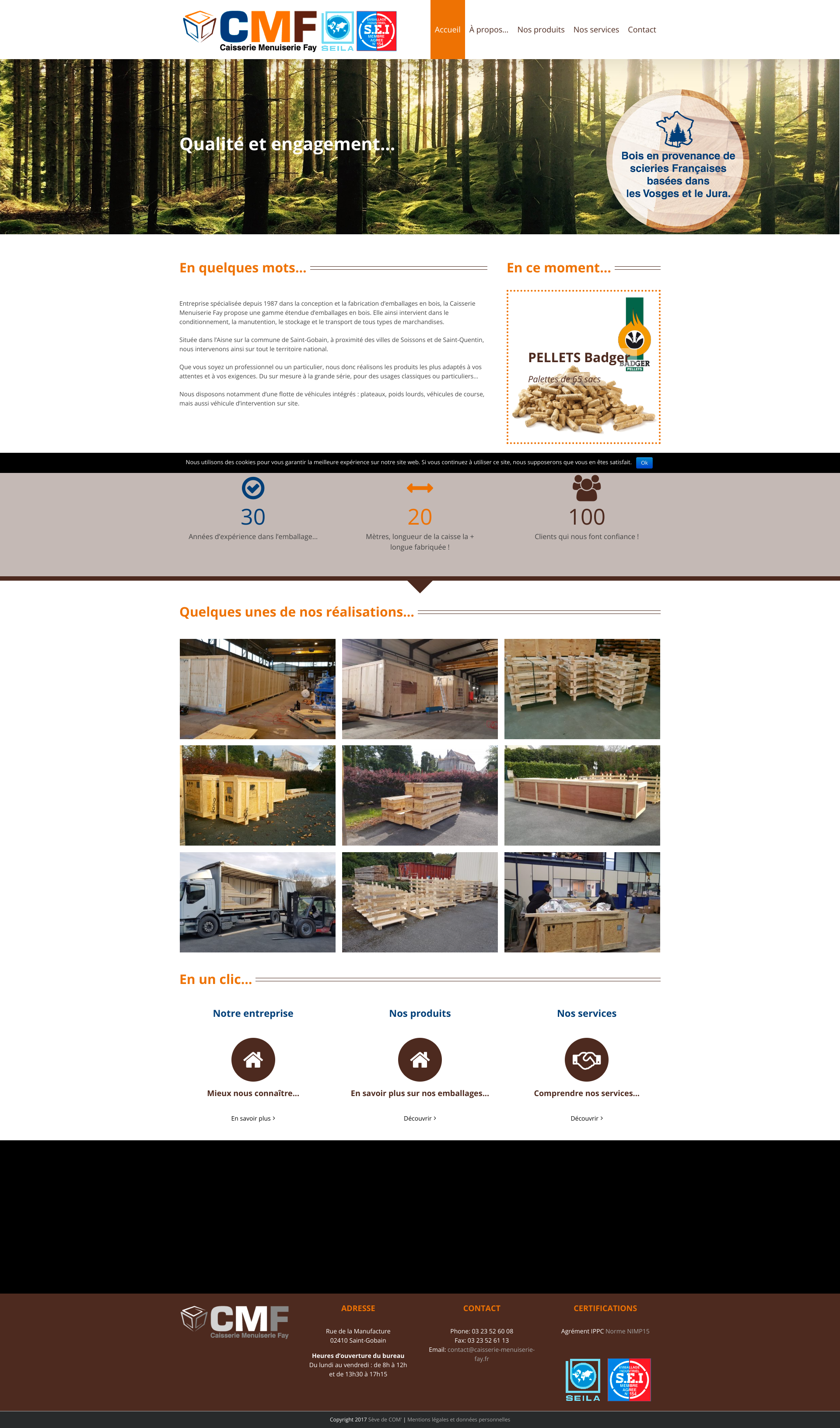 Aperçu du site